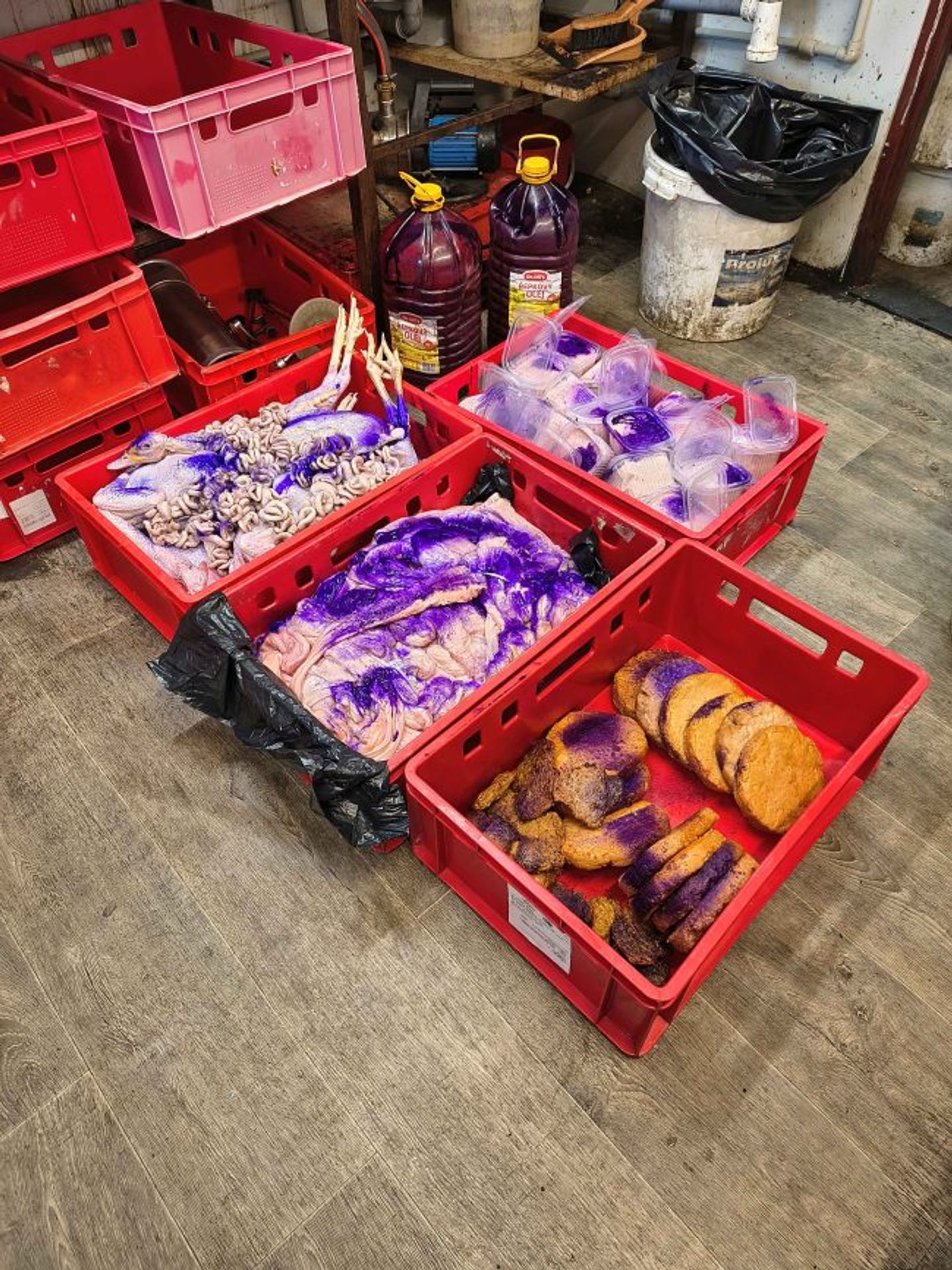 Živočišné produkty znehodnocené obarvením - Veterinární kontrola v Brně (3/3)