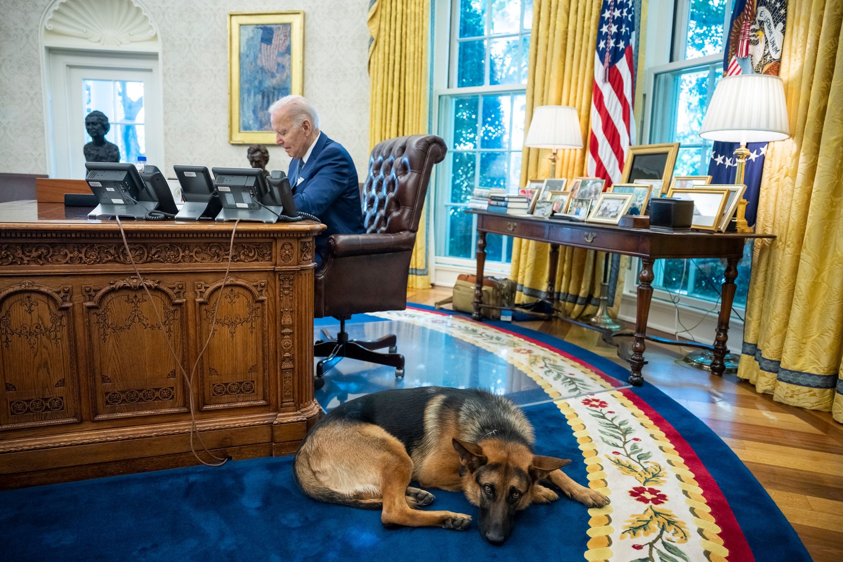Prezident Joe Biden se svým psem Commanderem (2) - Prezident Joe Biden se svým psem (2/4)