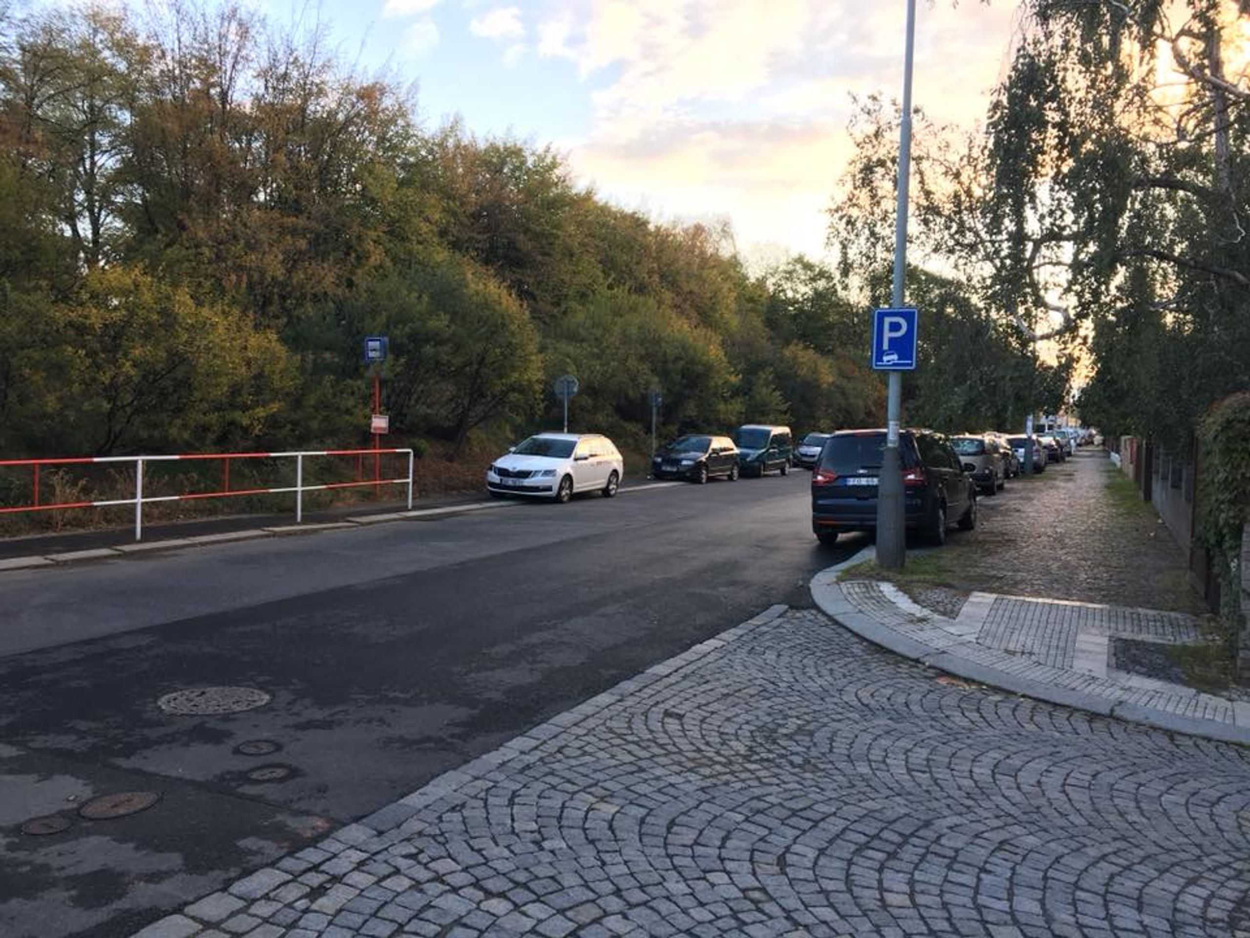 Lidé v pražských Strašnicích se bojí chodit venčit své psy - GALERIE: Lidé v pražských Strašnicích se bojí venčit své psy (2/6)