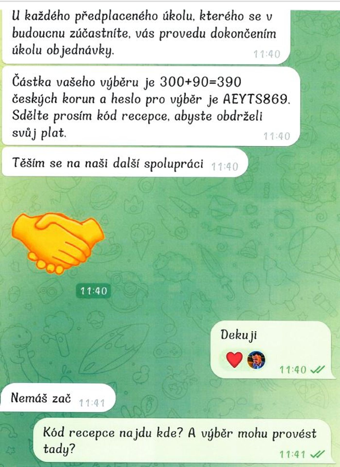 Internetový podvod (10) - Nový internetový podvod (8/14)
