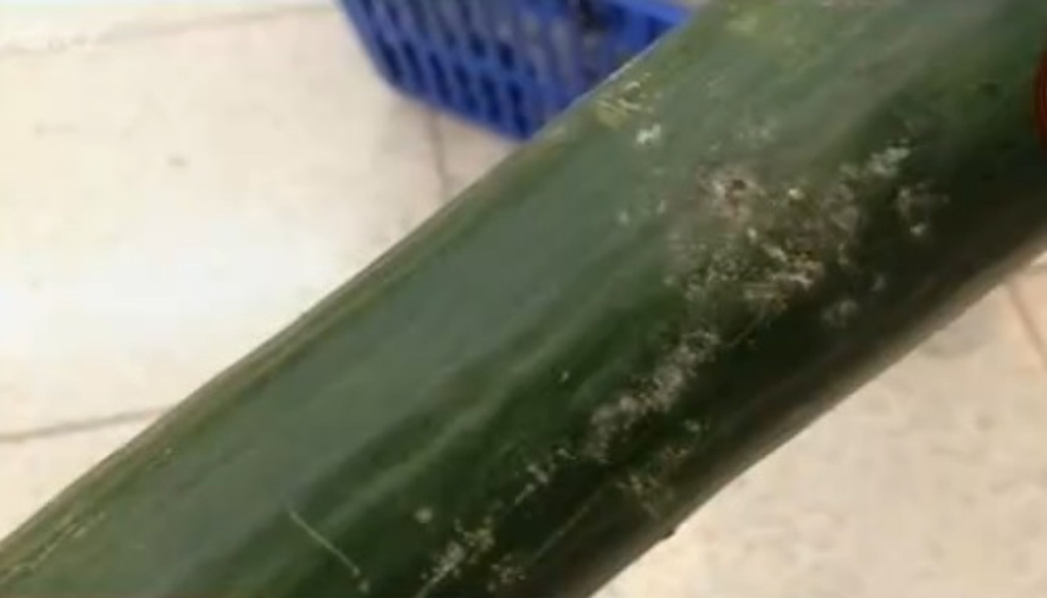 Potravinový inspektor: Tesco v Říčanech - 5 - GALERIE: Potravinový inspektor v říčanském Tescu (4/5)