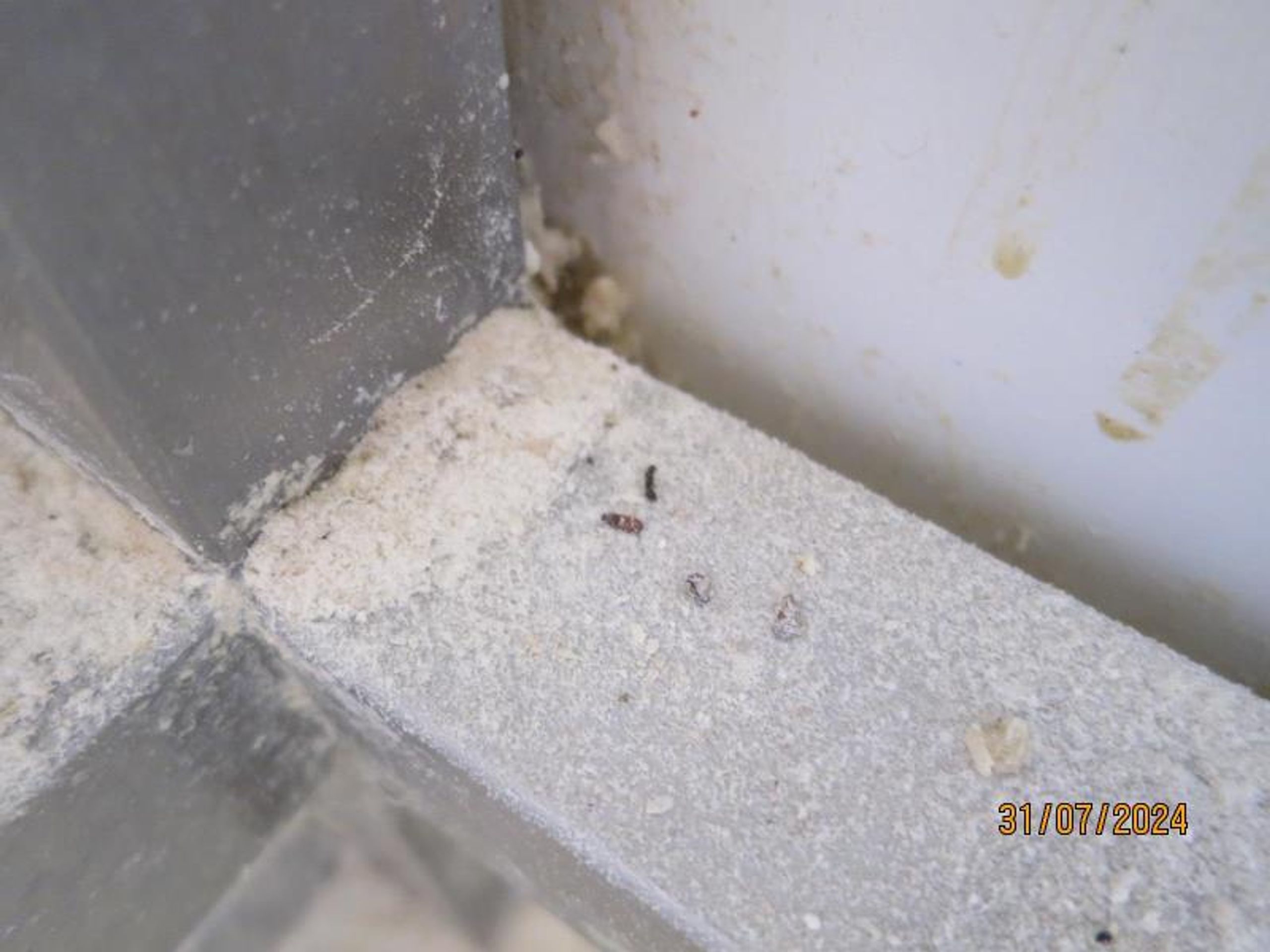 Kontrola odhalila nevyhovující hygienické podmínky v pražské pekárně - Kontrola odhalila nevyhovující hygienické podmínky v pražské pekárně (10/11)