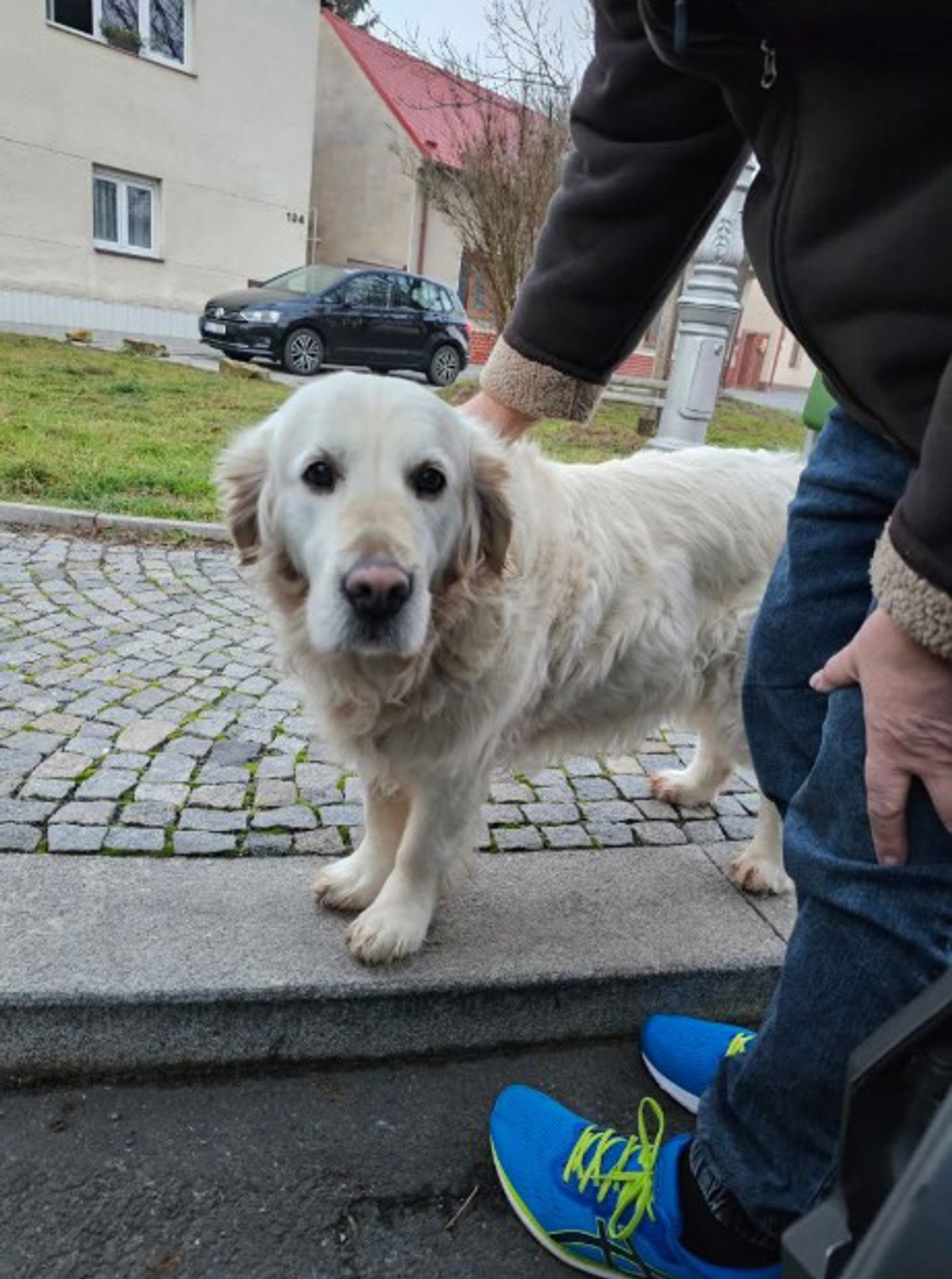 Ztracená fenka Majka - Ztracená fenka Majka (2/9)