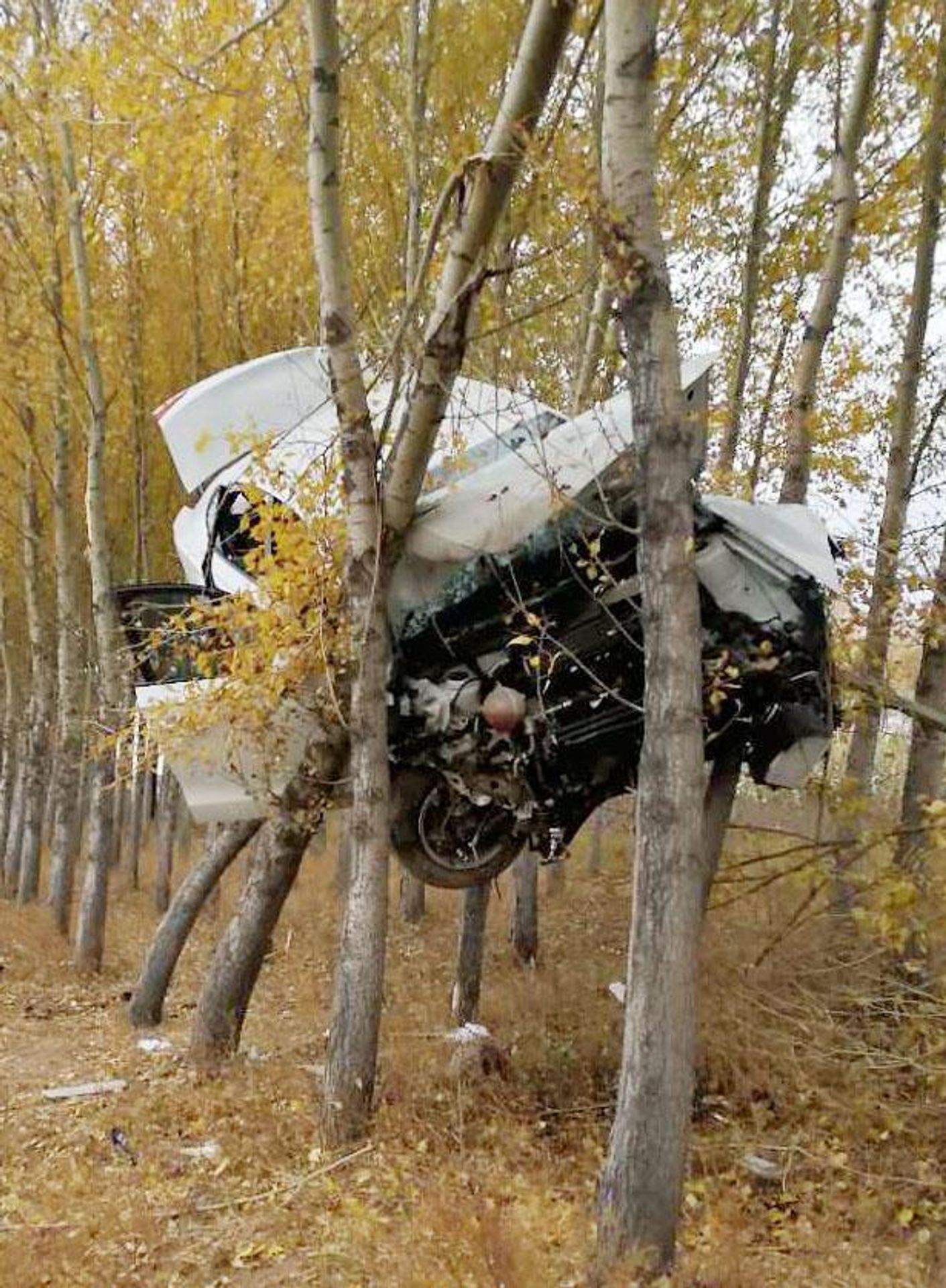 Nehoda - 9 - FOTOGALERIE: Auto zaklíněné ve stromech (2/4)