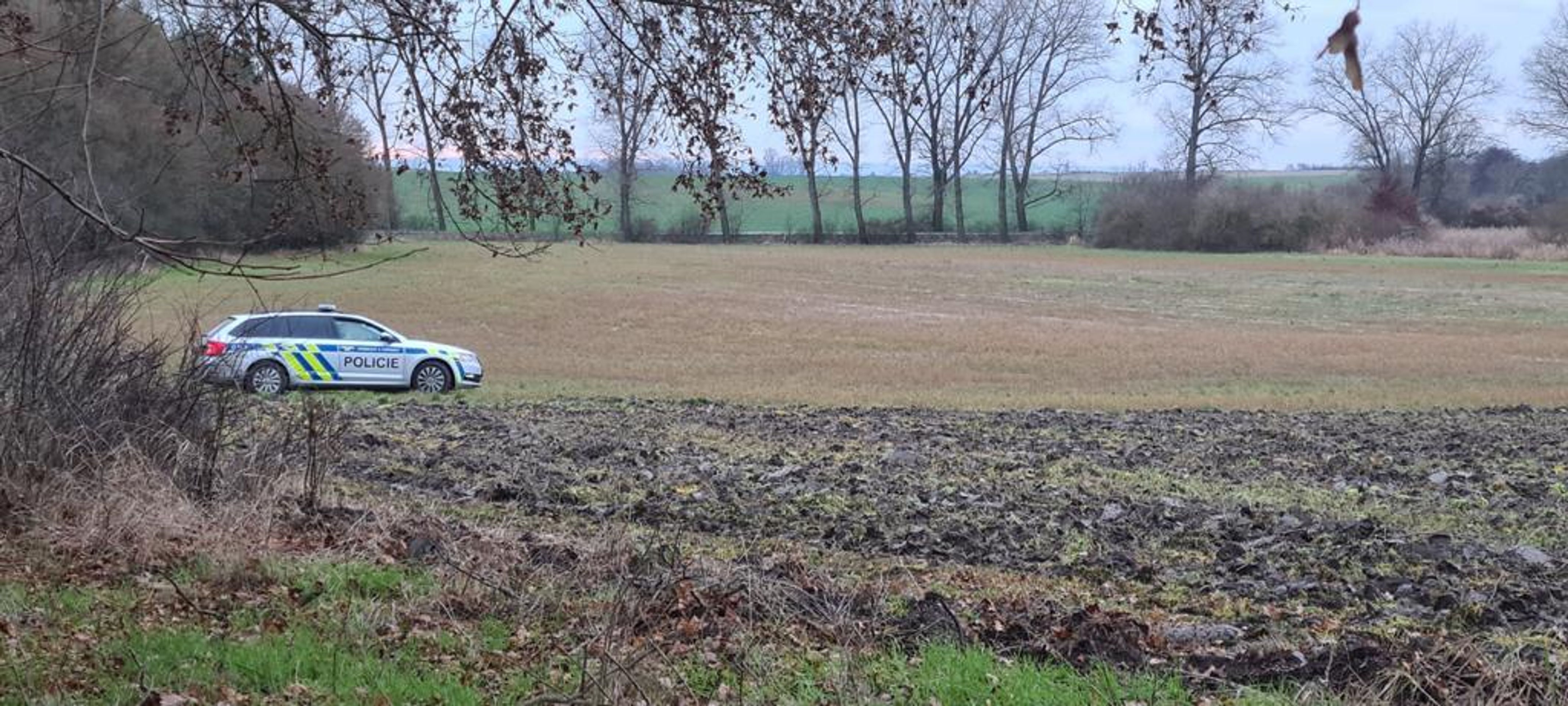 Myslivci na Nymbursku našli torzo těla - 2 - GALERIE: Myslivci na Nymbursku našli torzo těla (5/6)
