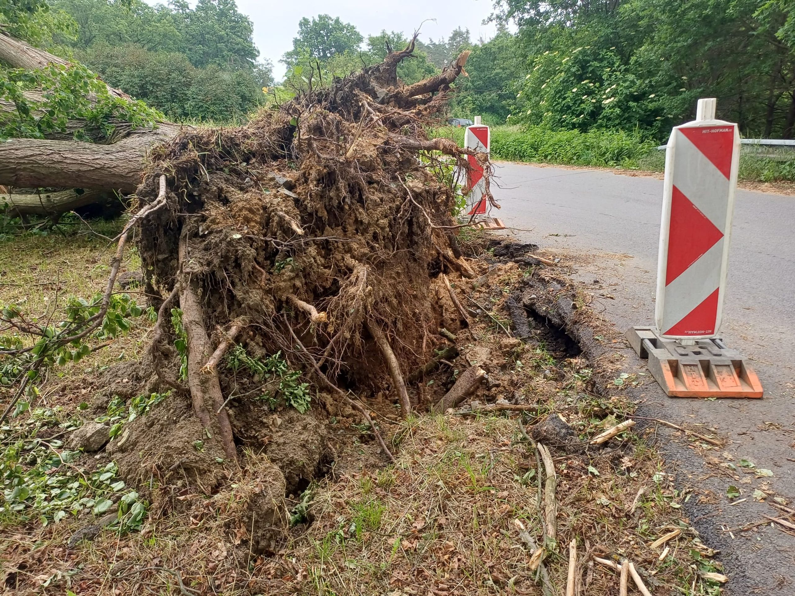 Sedlčany se vzpamatovávají z vichřice (10) - Sedlčany se vzpamatovávají z vichřice (6/38)