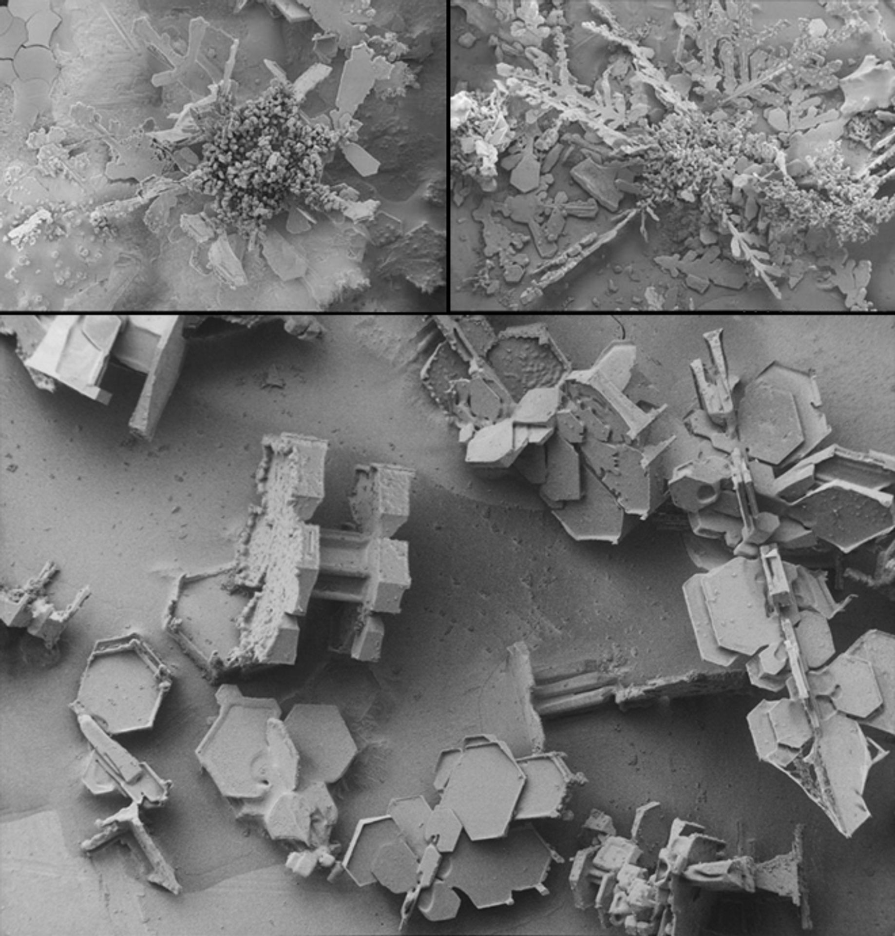 Vločka pod mikroskopem - 10 - GALERIE: Sněhová vločka pod mikroskopem (3/22)