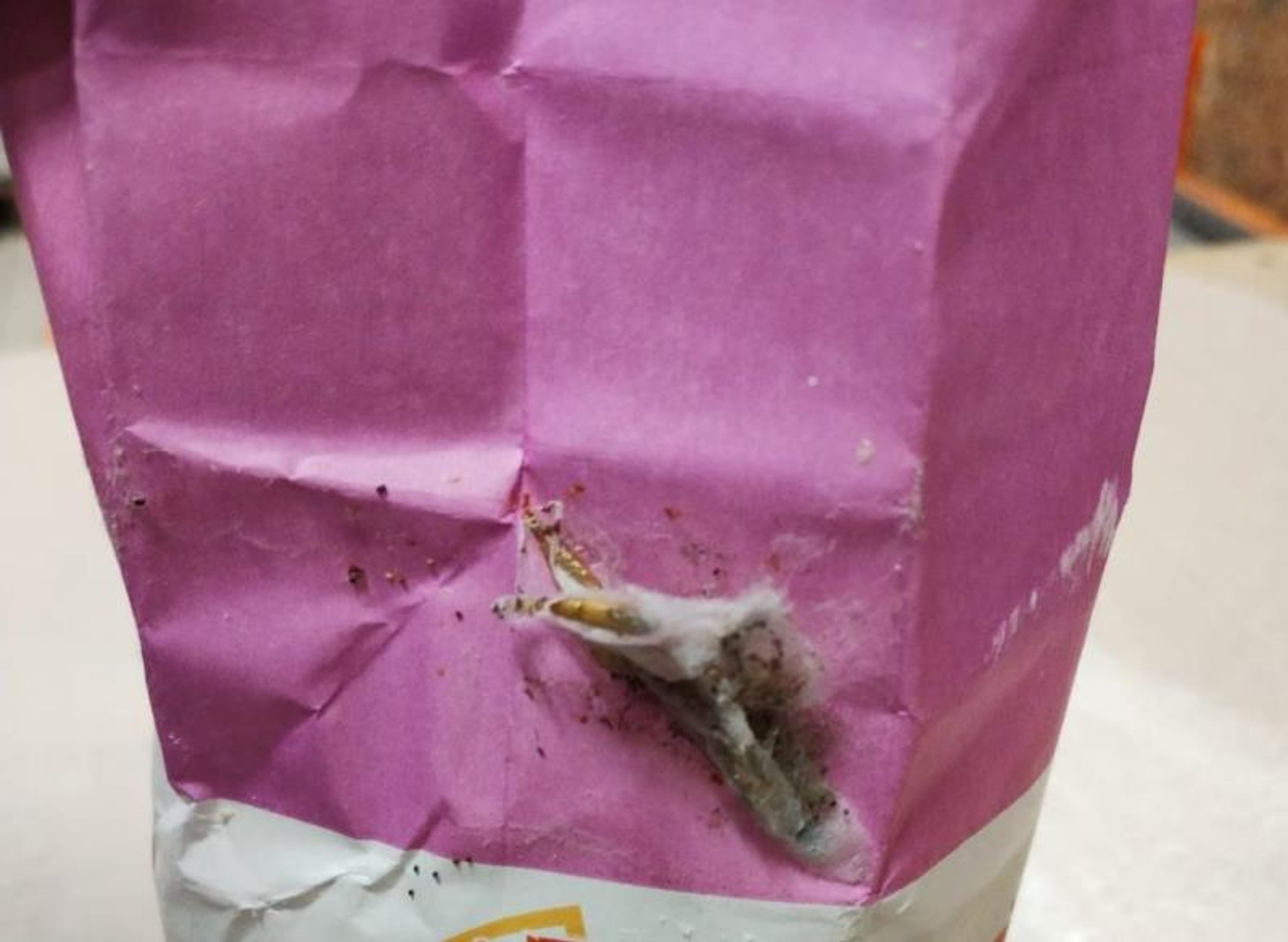 Inspekce odhalila závadnou mouku v Kauflandu - Inspekce odhalila závadnou mouku v Kauflandu (11/16)
