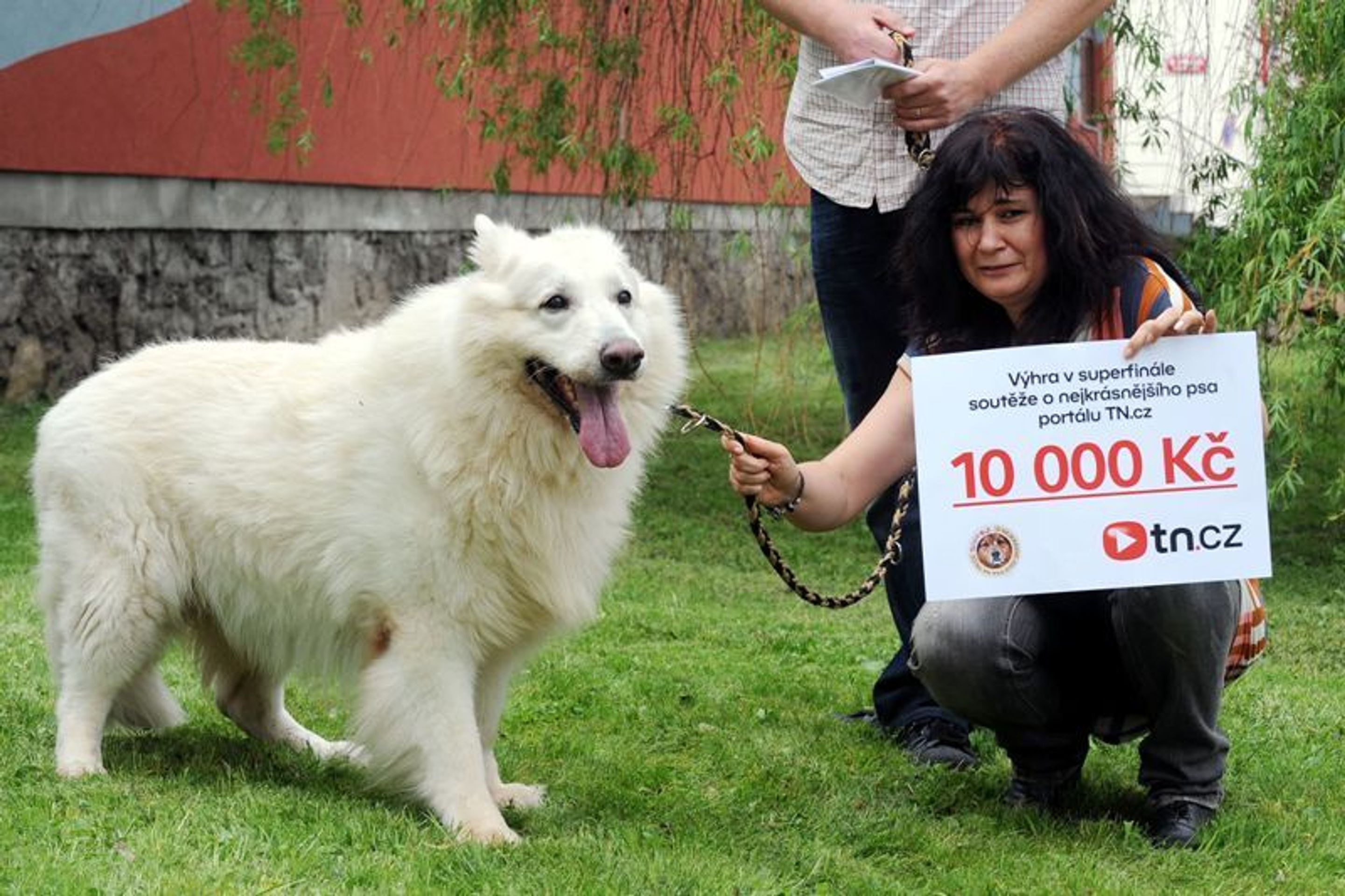 Vítěz velké psí soutěže: Titto - 1 - GALERIE: Vítěz psí soutěže - Titto (6/7)