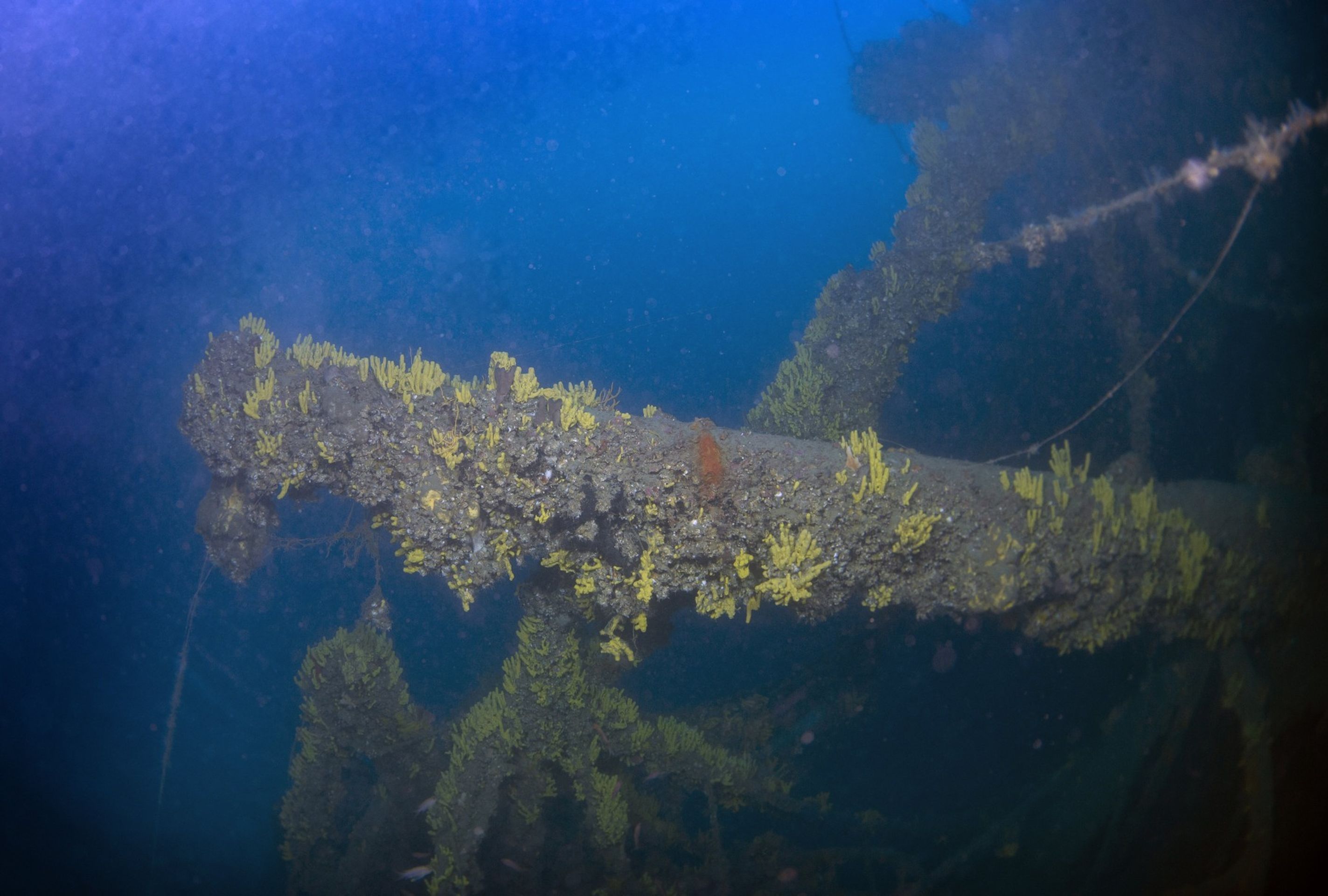 HMS Triumph (2) - HMS Triumph (3/4)