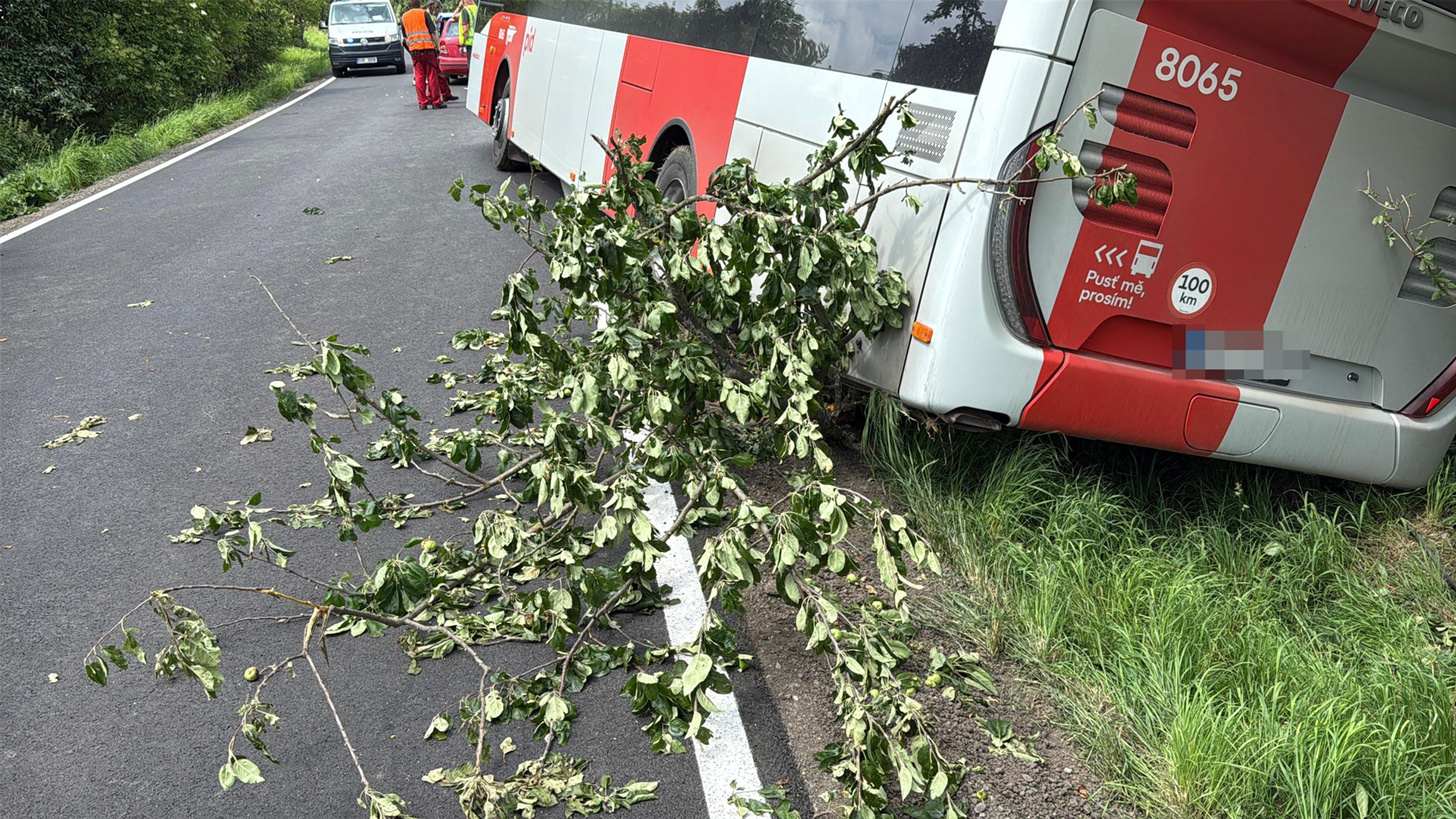 Dopravní nehoda autobusu (3) - Dopravní nehoda autobusu (4/10)
