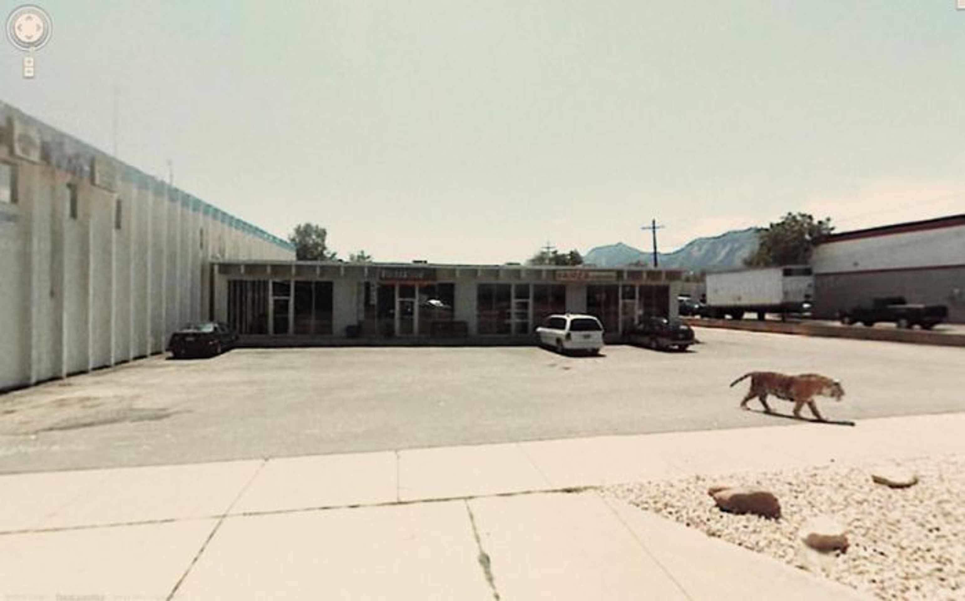 Podivína na Google Street View - 12 - GALERIE: Podivíni na Google Street View (11/22)
