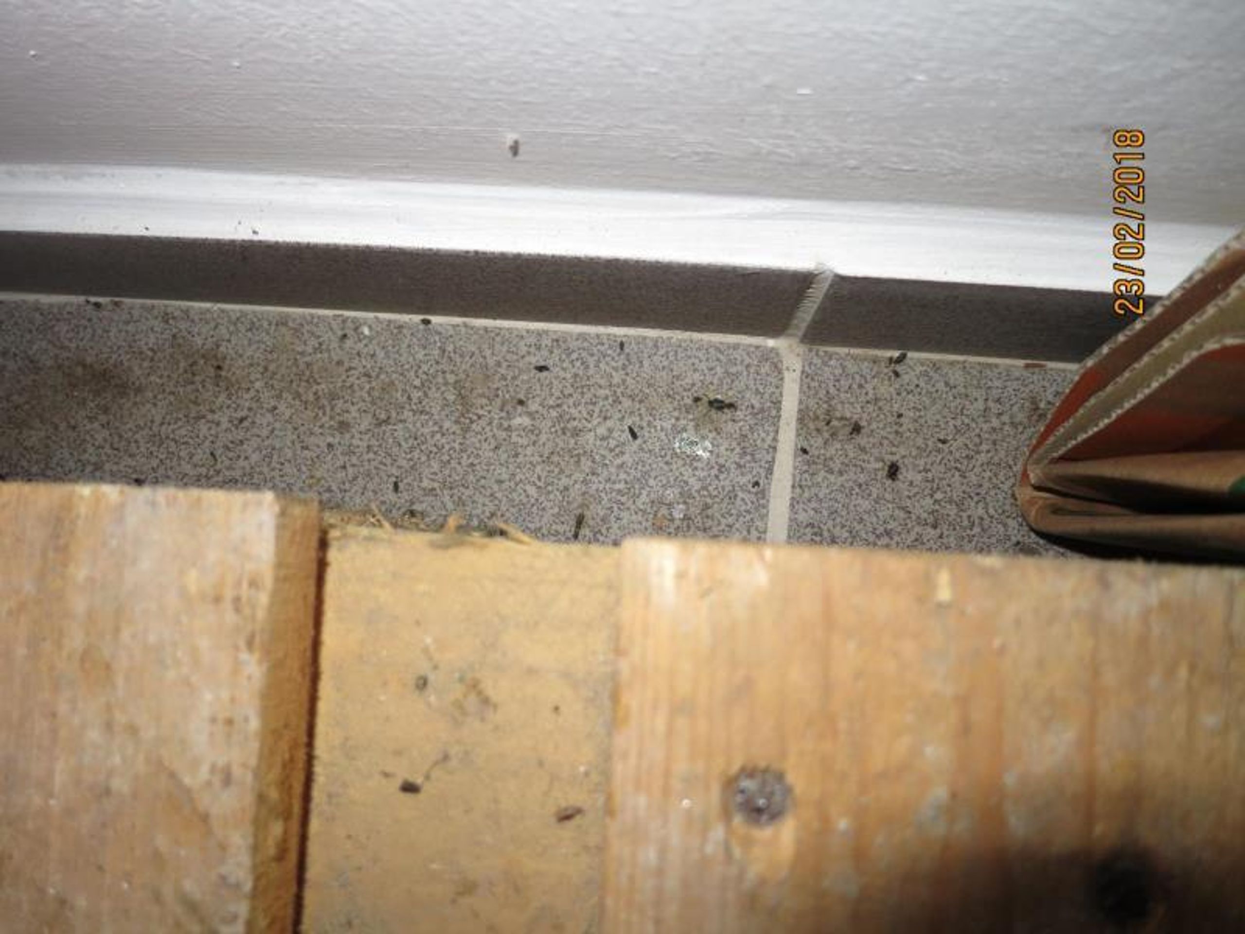 Uzavřené provozovny - Hung Nguyen Xuan, Třebenice - GALERIE: Uzavřené provozovny za únor 2018 (19/49)