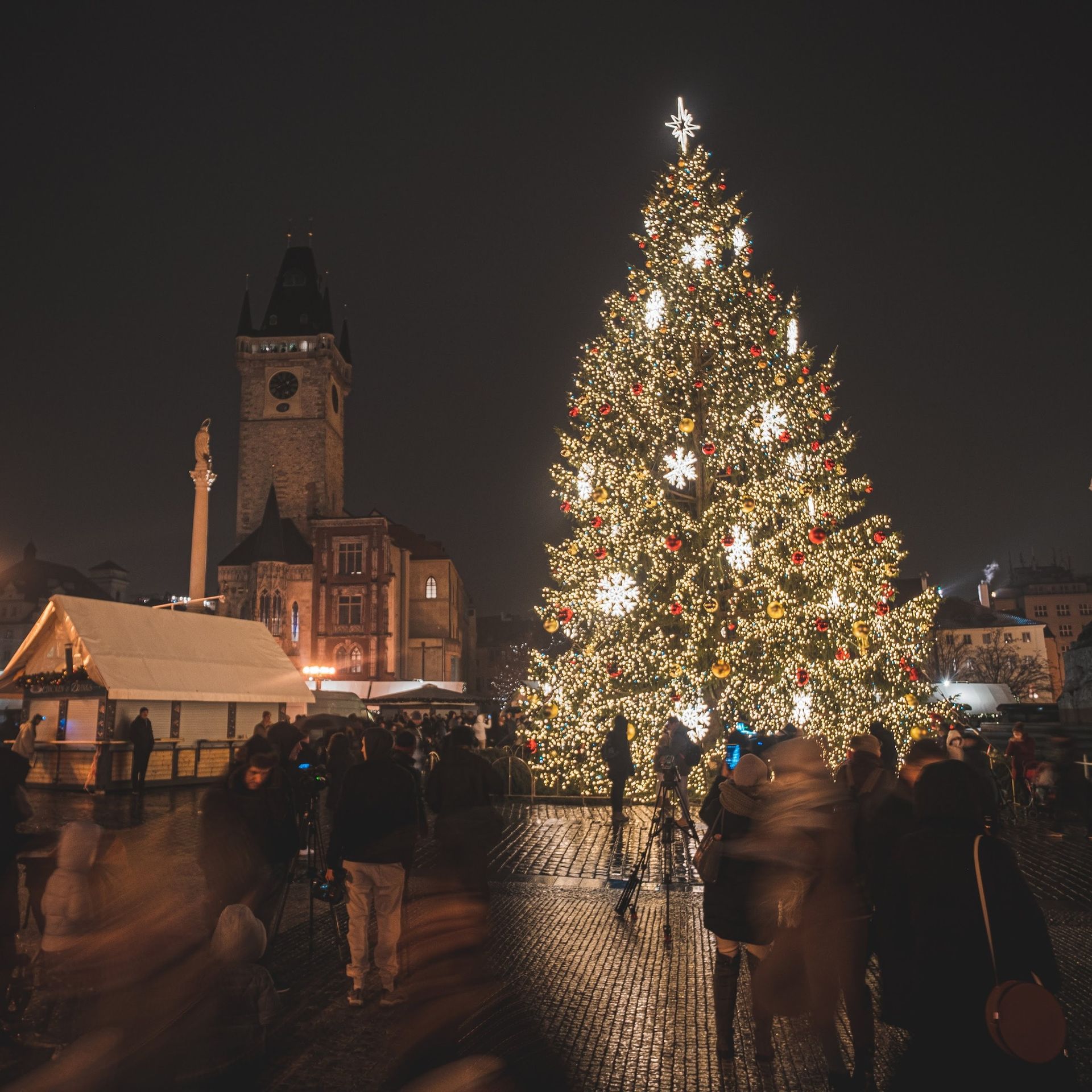 Vánoční strom v Praze - Vánoční stromy (1/14)