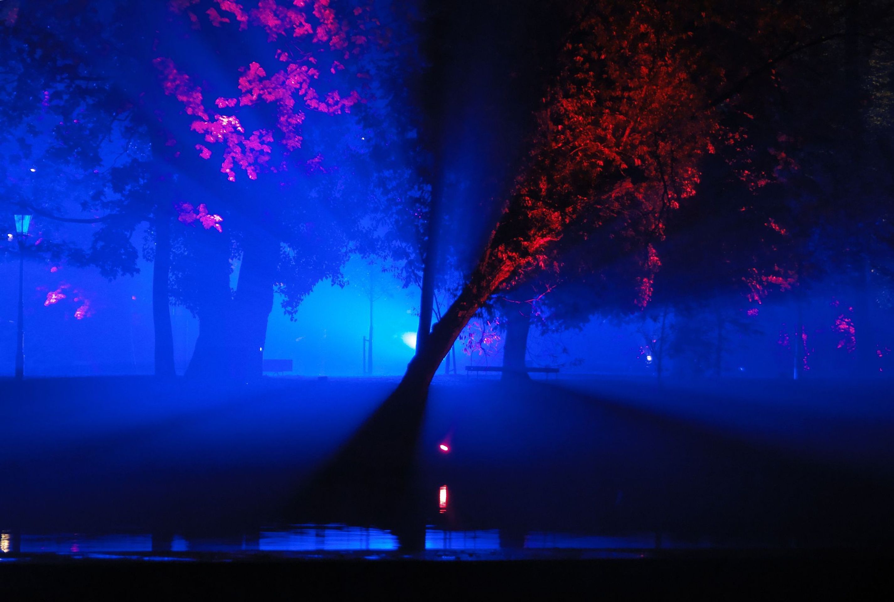 Festival Signal 2015 - 15 - GALERIE: Festival Signal 2015 (13/16)