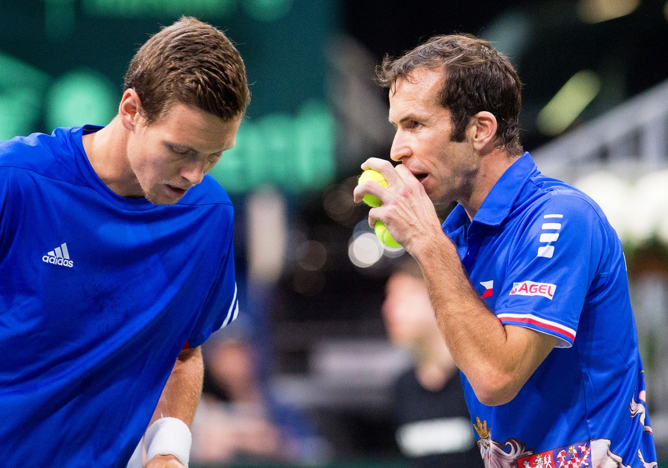 Radek Stepanek - GALERIE: Tenisová kariéra Radka Štěpánka (7/8)