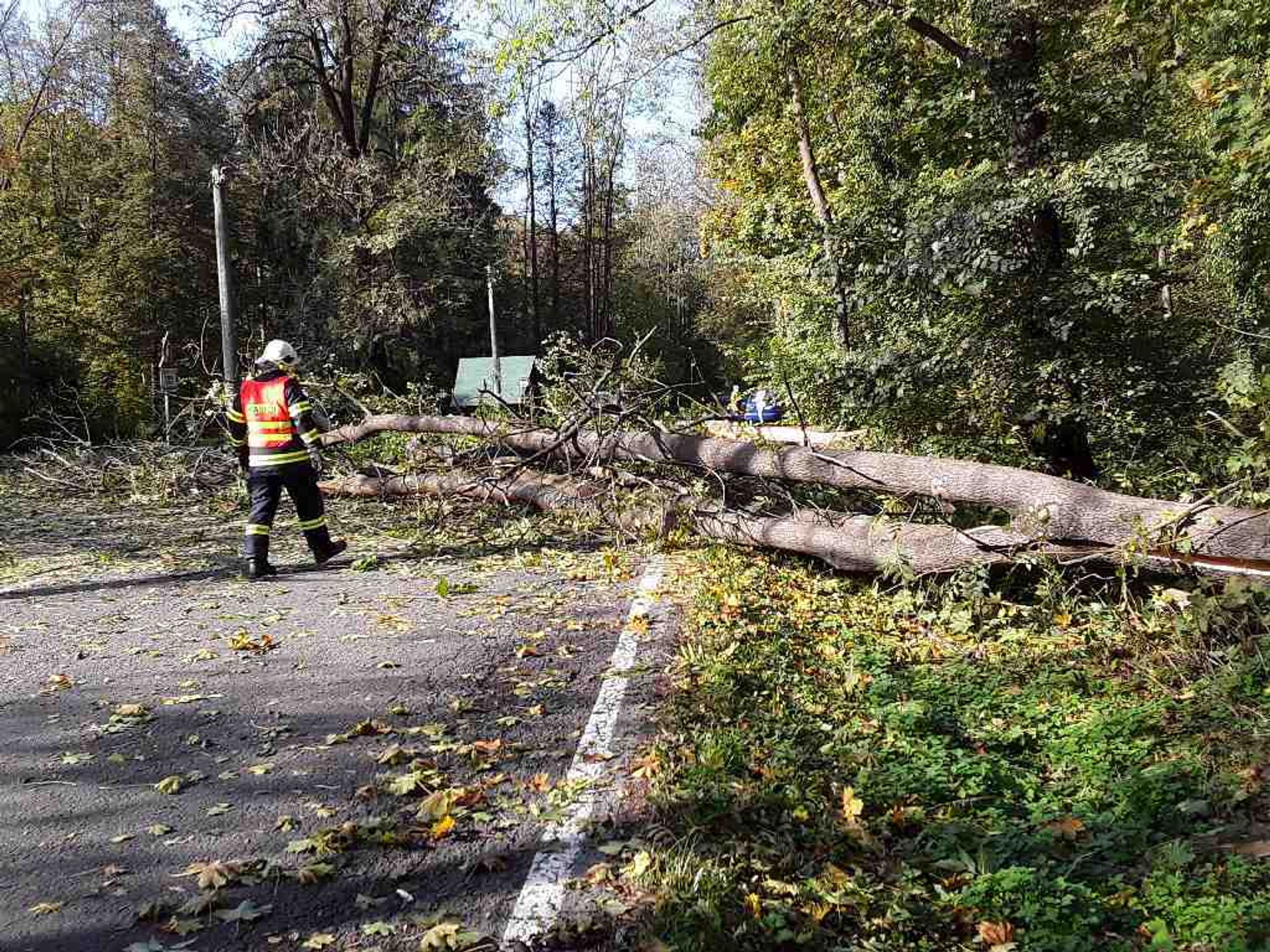 Hasiče v Olomouckém kraji zaměstnal silný vítr - 10 - GALERIE: Hasiči řešili vyvrácené stromy (7/8)