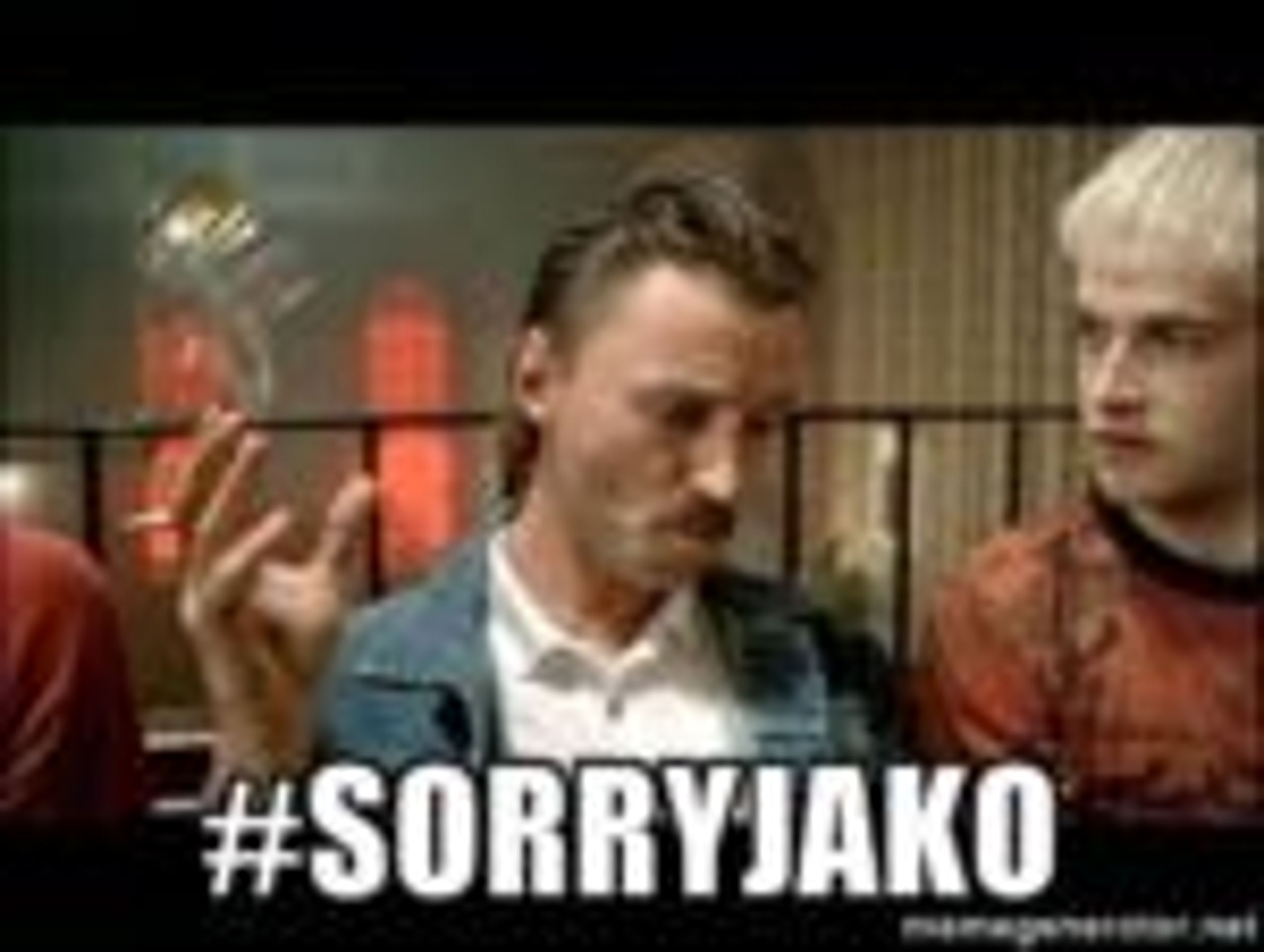 #sorryjako - národ se baví Babišem - 13 - GALERIE: Národ se baví Babišem - pan "Sorry Jako" (15/35)