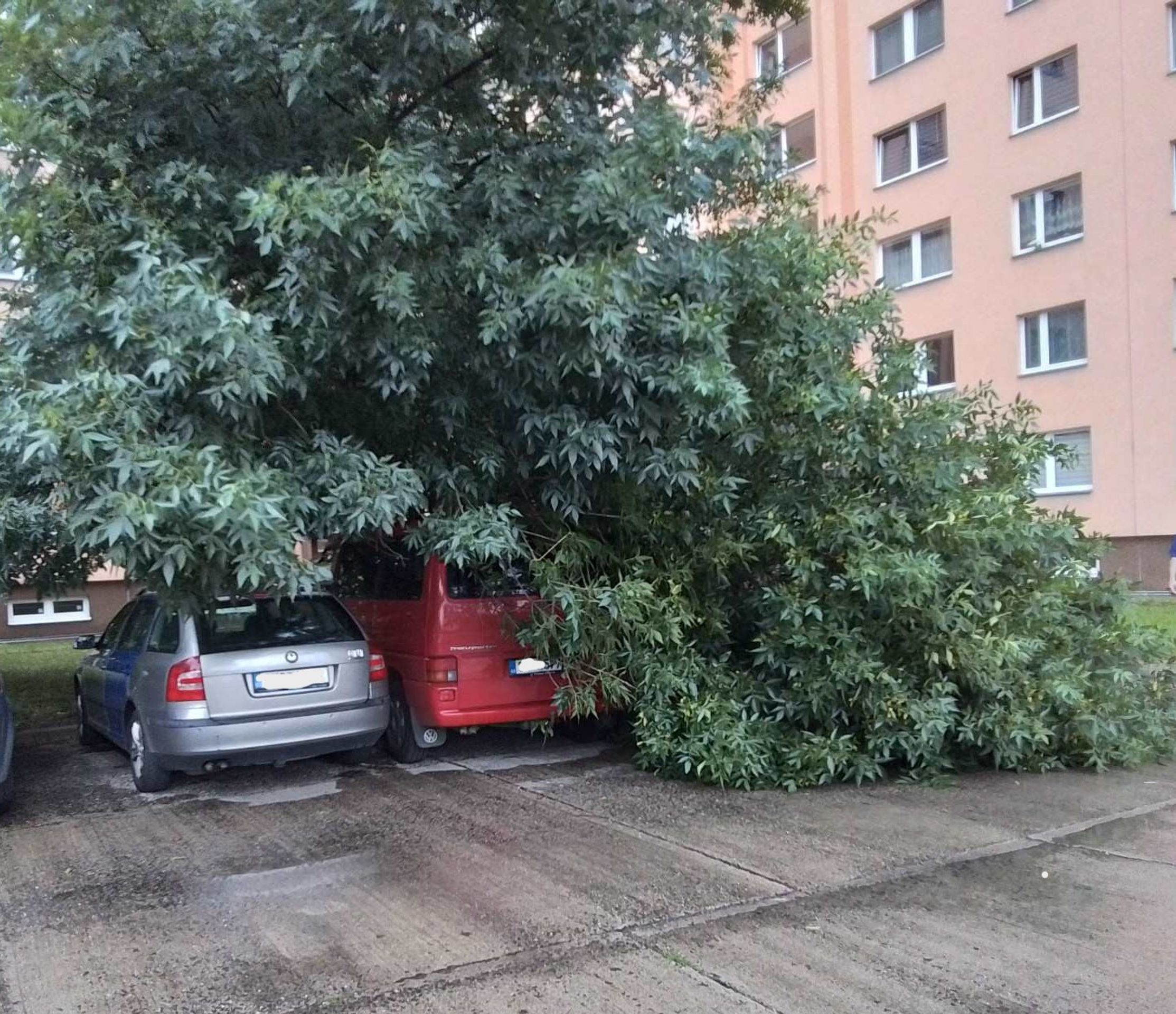 Následky sobotních bouřek - Následky sobotních bouřek (1/5)