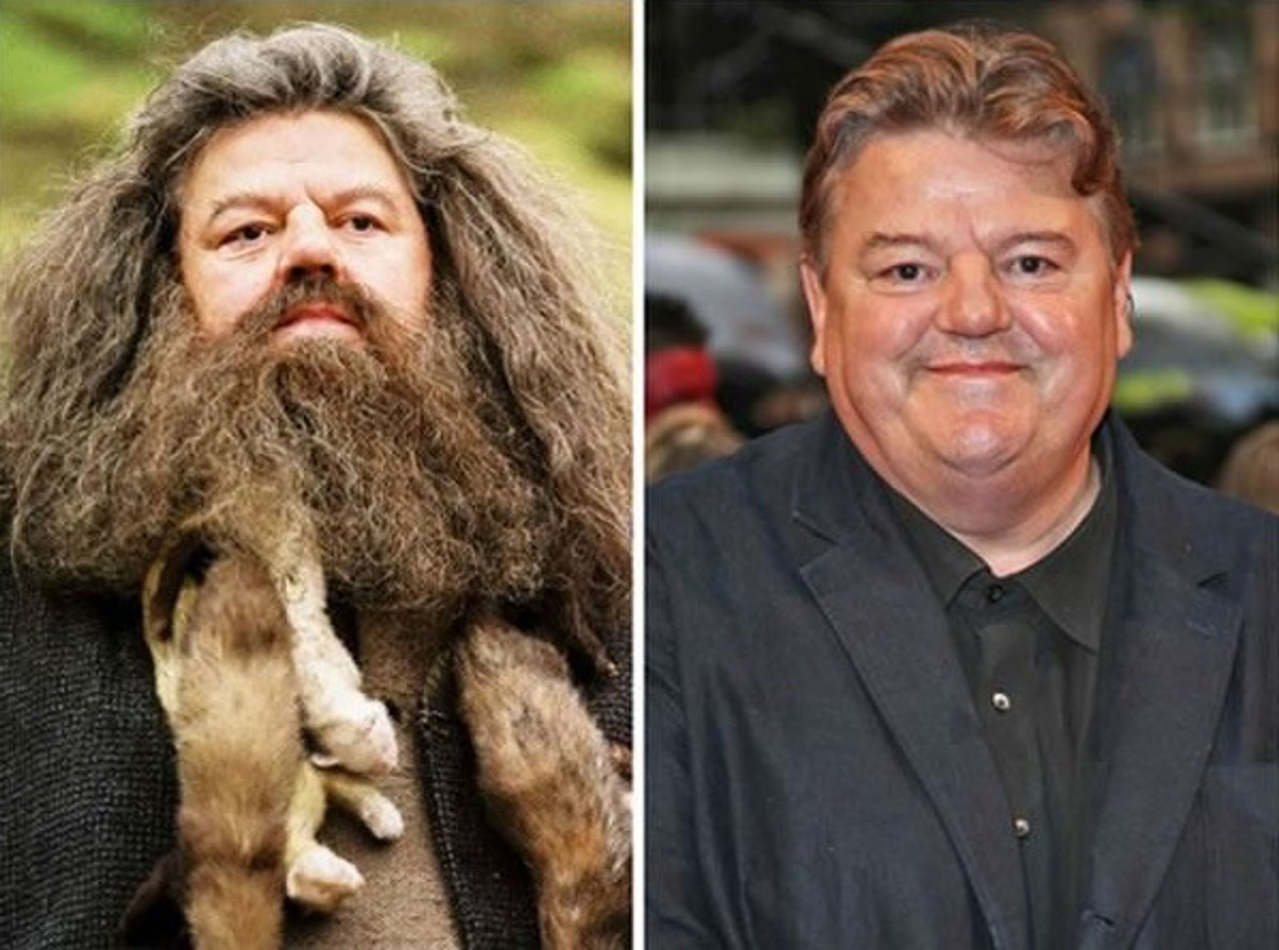 Harry Potter - postavy - Rubeus Hagrid - Robbie Coltrane - GALERIE: Harry Potter - postavy (7/22)