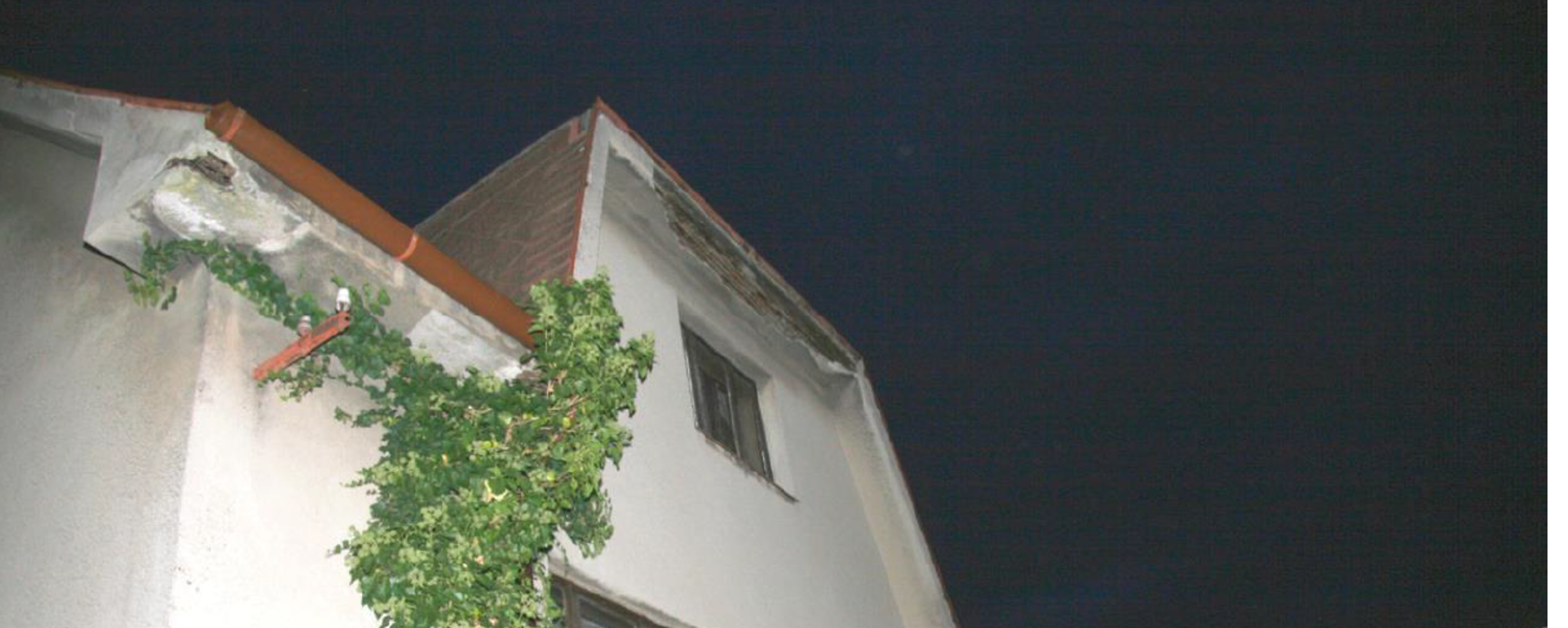 Falešní opraváři střech a okapů (7) - Falešní opraváři střech a okapů (7/7)