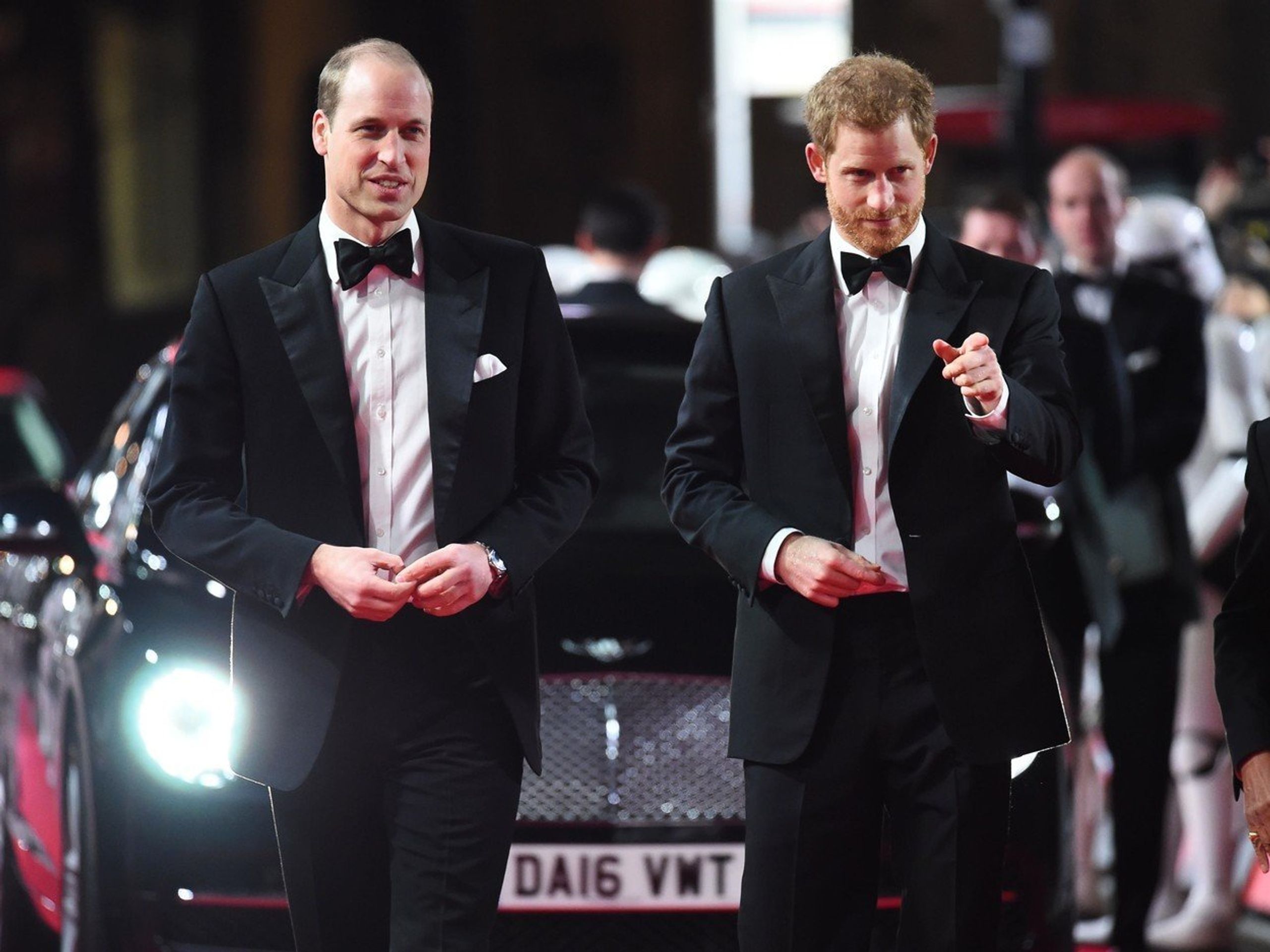 William a Harry - 2 - GALERIE: Laura Lopes (6/7)