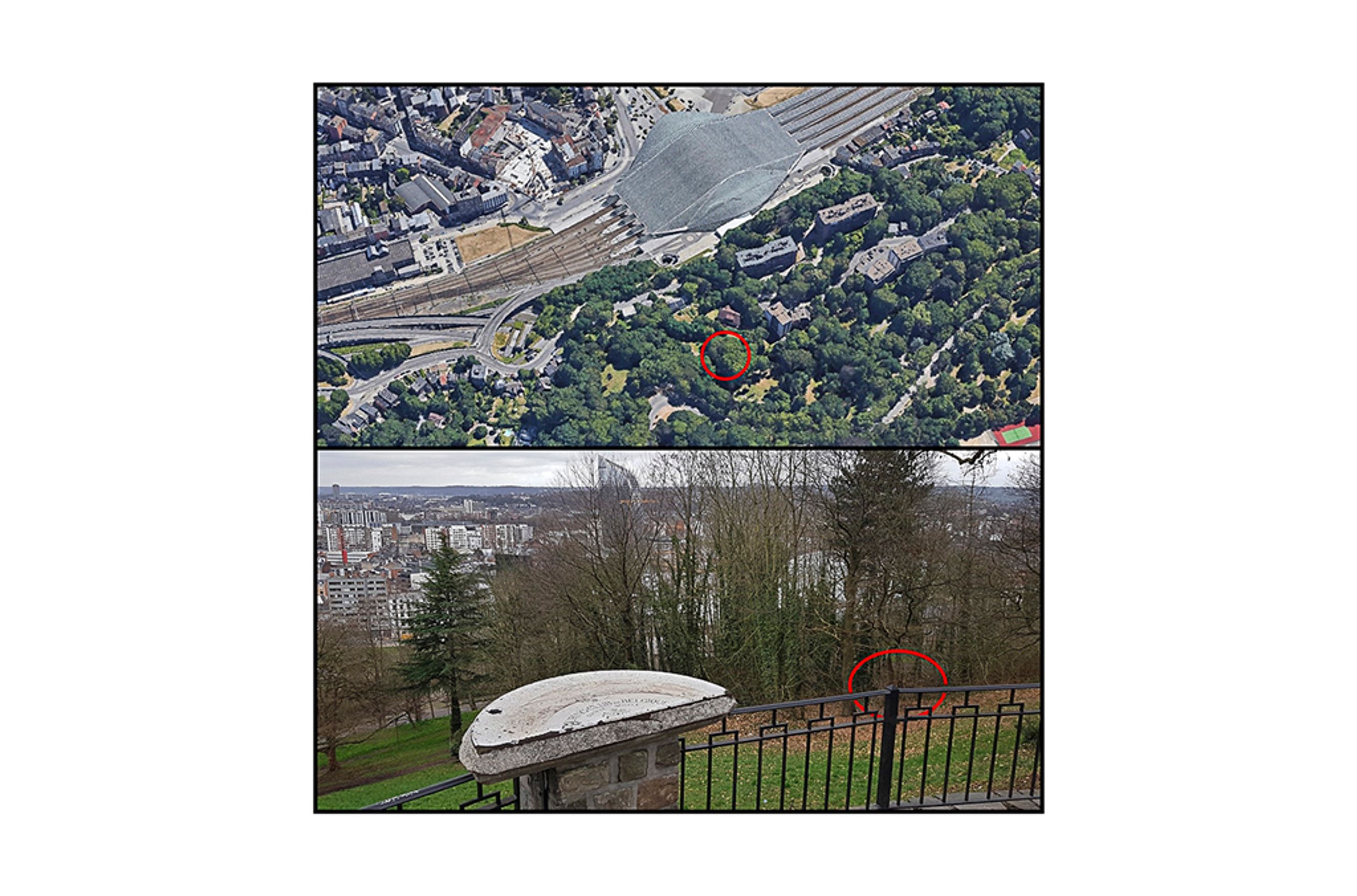 Žena nalezená v parku, 29. srpna 2019, Belgie, místo nálezu Park de Cointe - Policie hledá identitu 22 zavražděných žen (75/120)