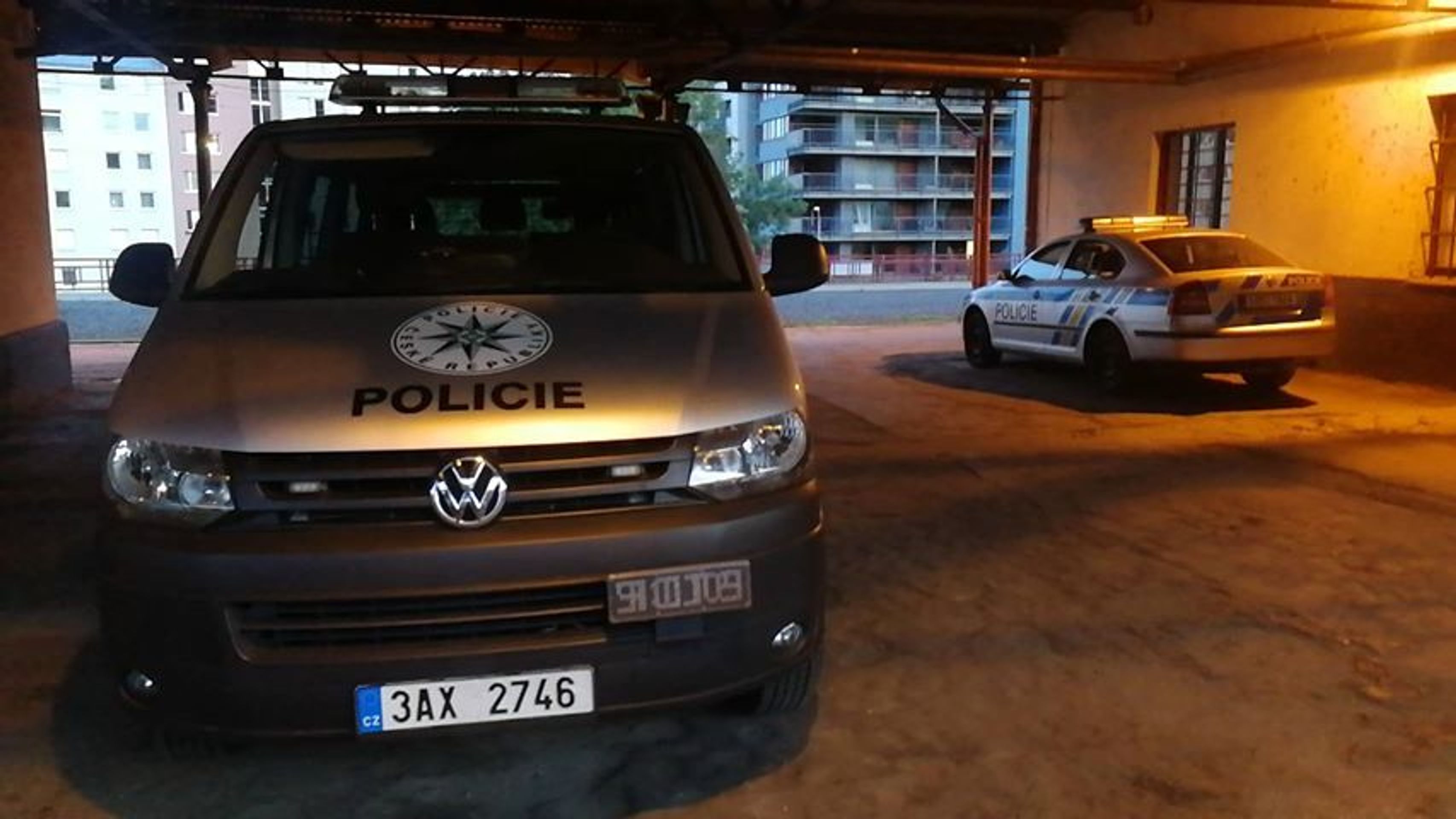 Vlak s poškozenými okny - 2 - GALERIE: Policie zasahovala na pražské železniční stanici (4/10)