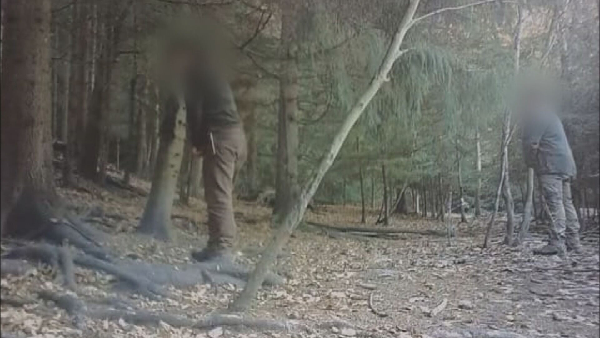 Myslivci močí v lese