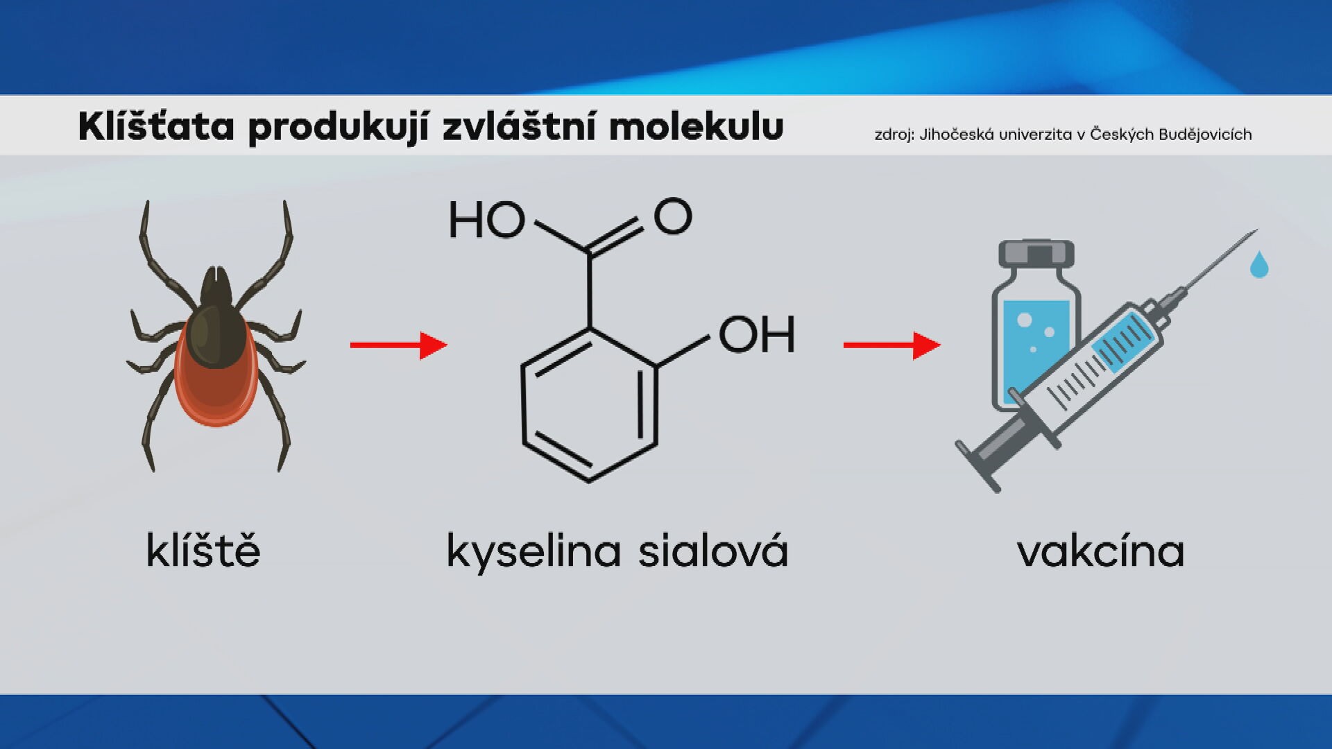 Klíšťata produkují zvláštní molekulu