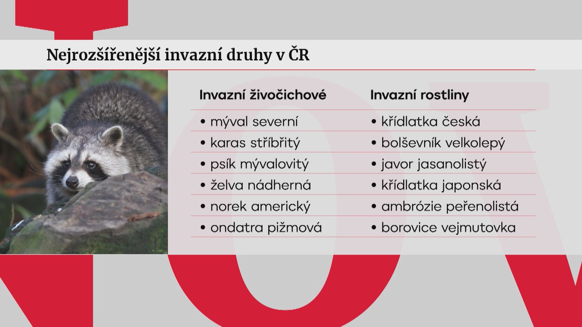 Nejrozšířenější invazivní druhy v ČR