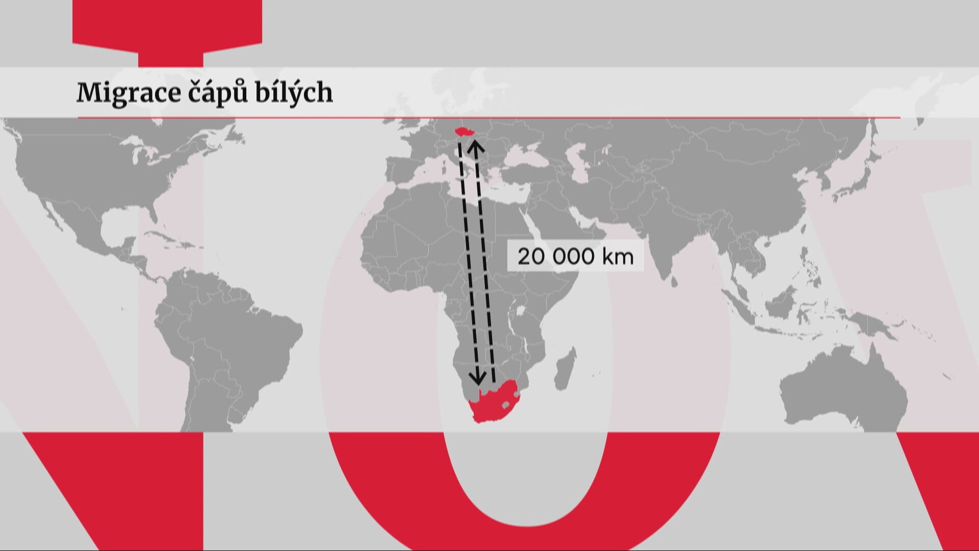 migrace čápů bílých