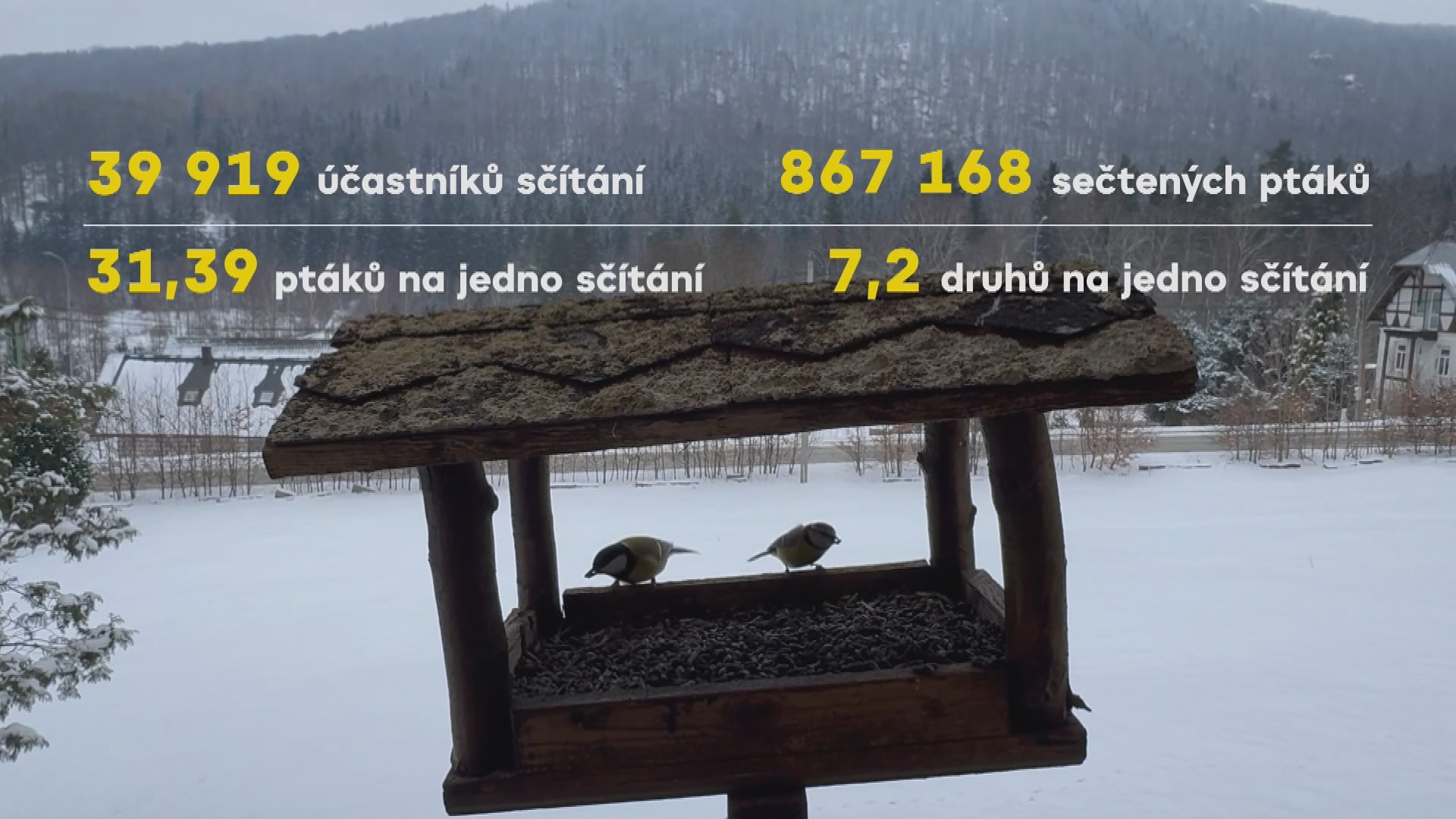 Ptáci