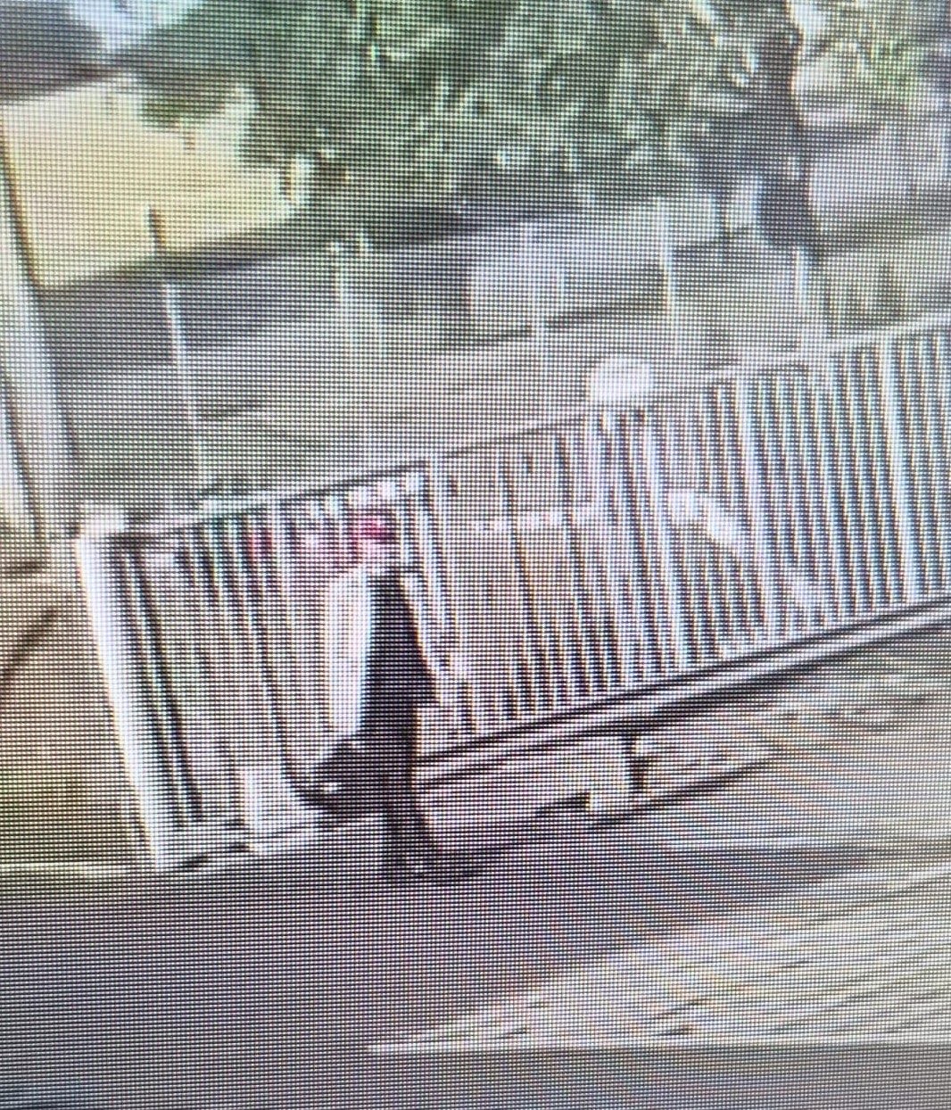 Hledaný Petr Šimon