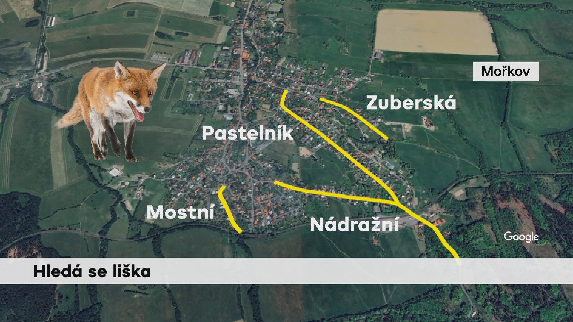 Hledá se liška
