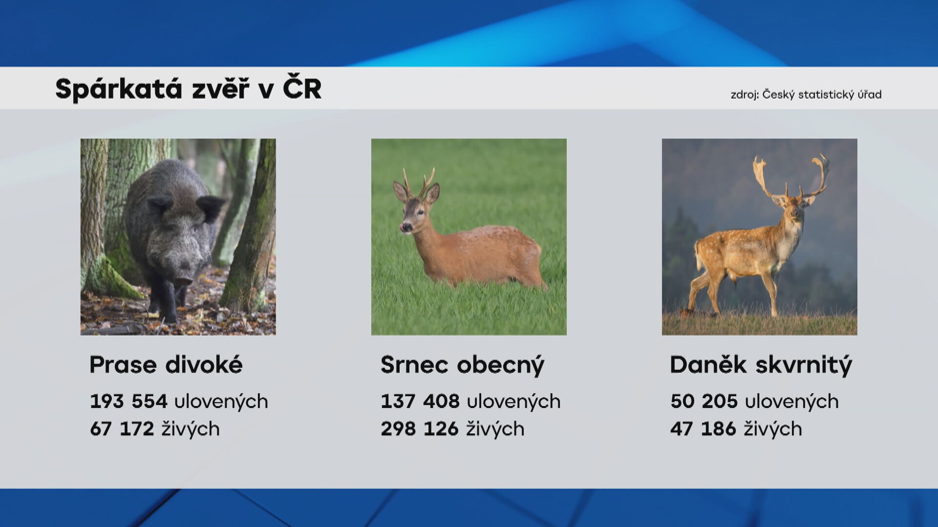 Spárkatá zvěř v ČR