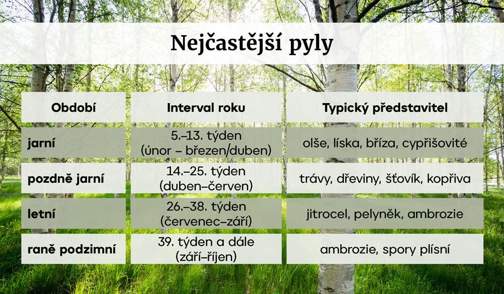 Pylová sezona