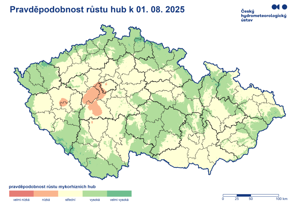 Pravděpodobnost růstu hub