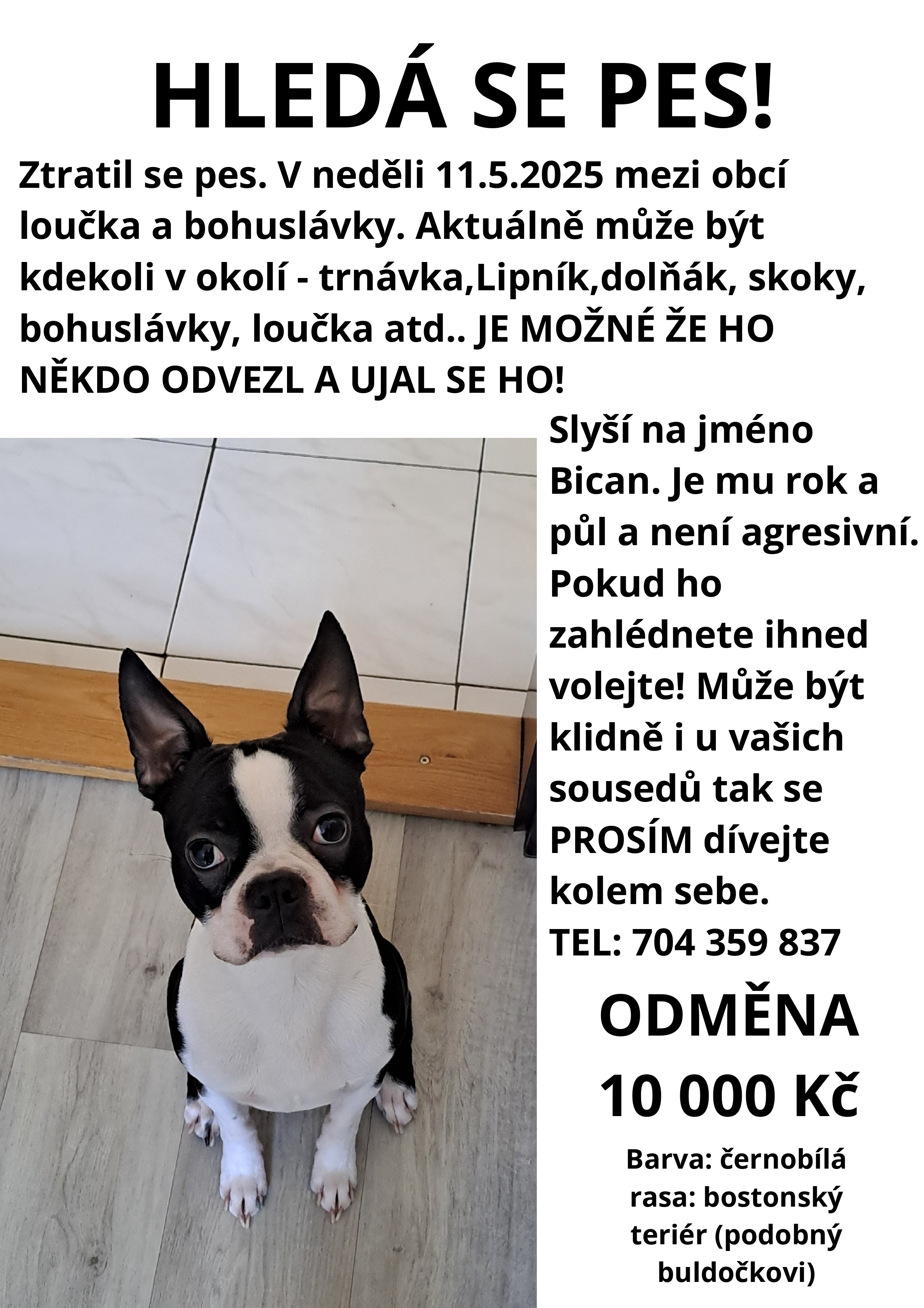 Ztracený pejsek Bican