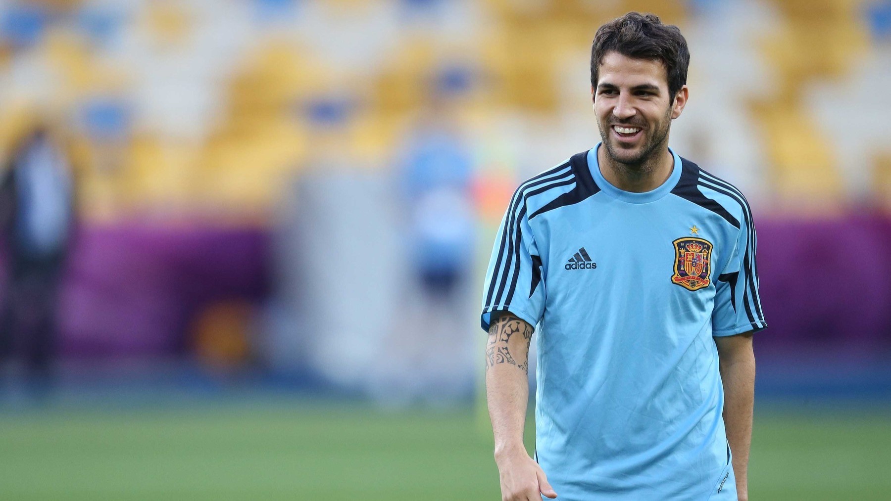 Cesc Fabregas v dresu španělské reprezentace