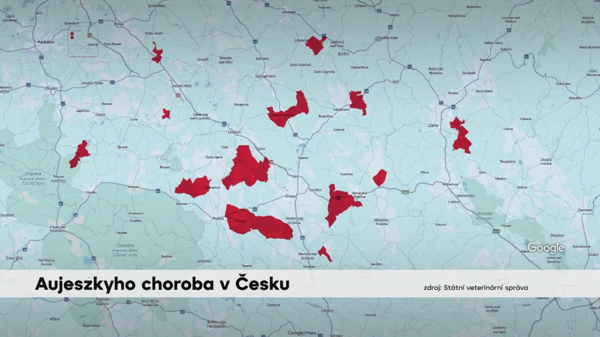 Aujeszkyho choroba v Česku