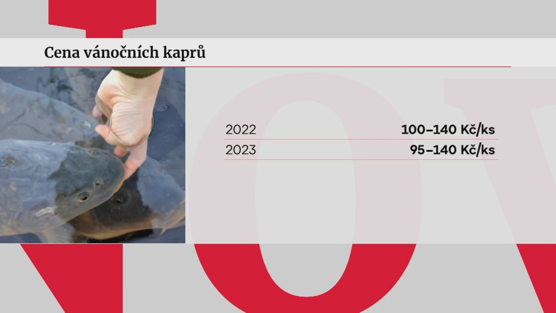 Ceny kaprů