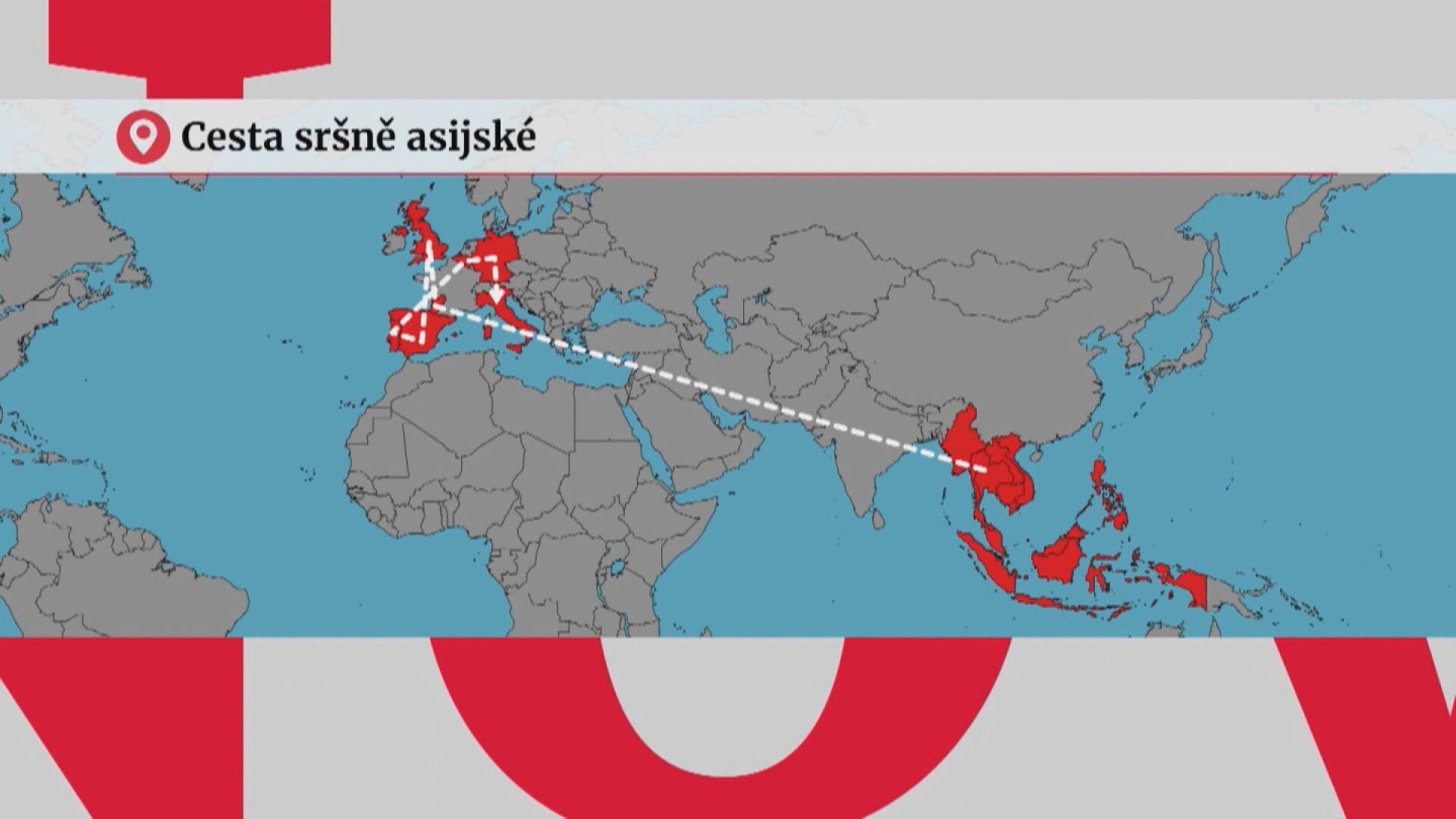 Cesta sršně asijské