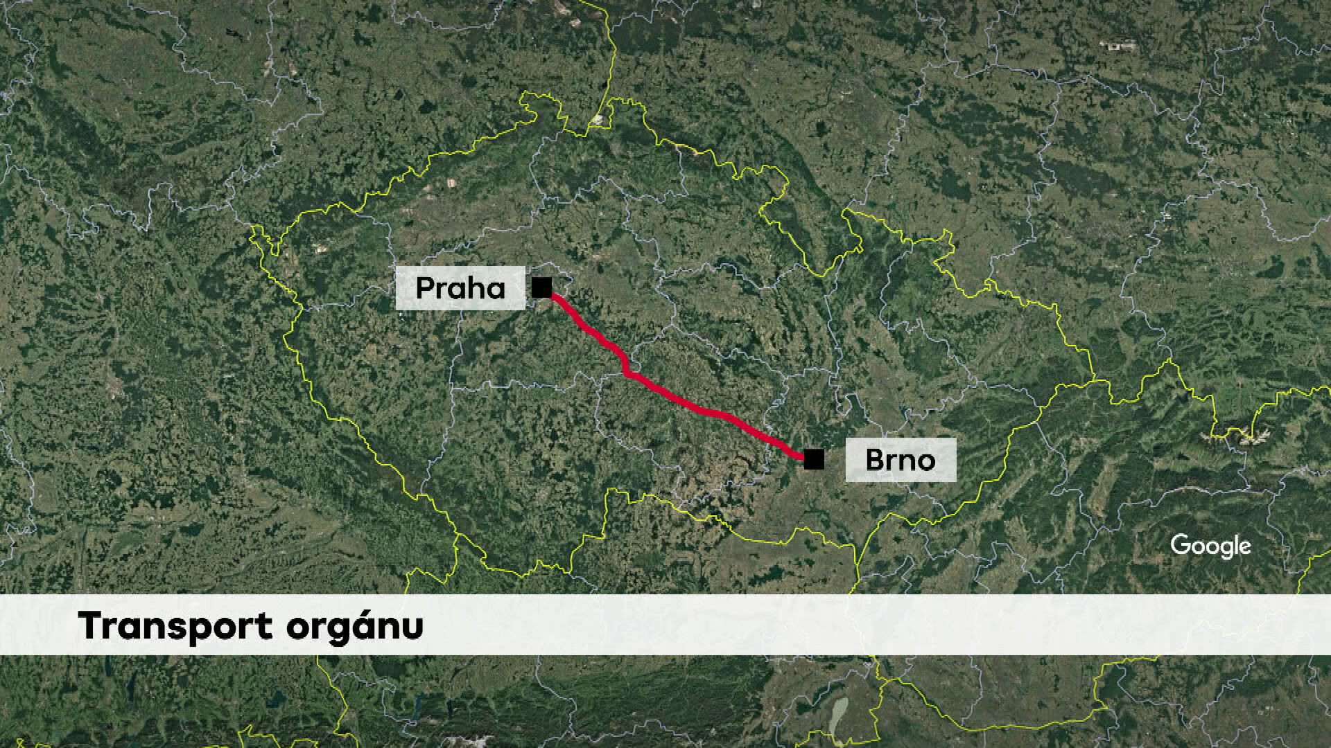 Transport orgánu