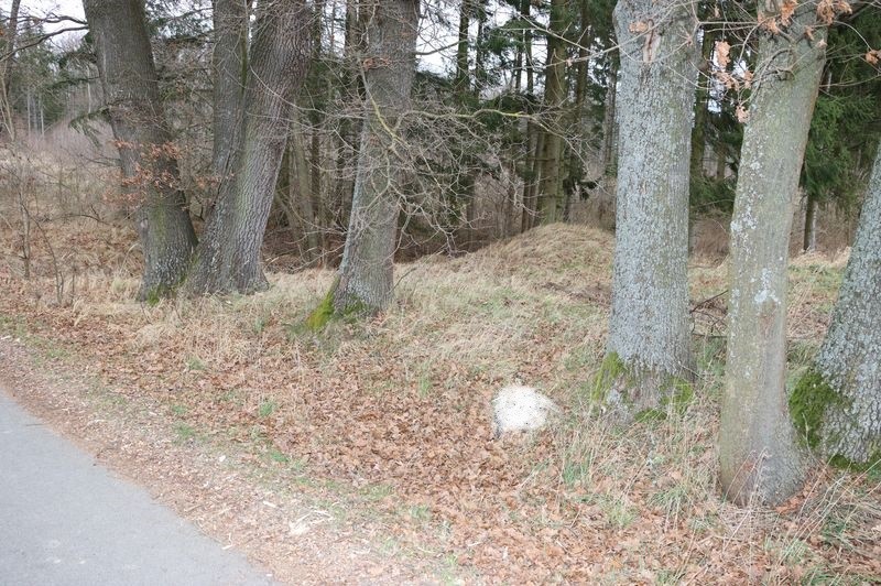 Nález devíti uhynulých koček na Prachaticku