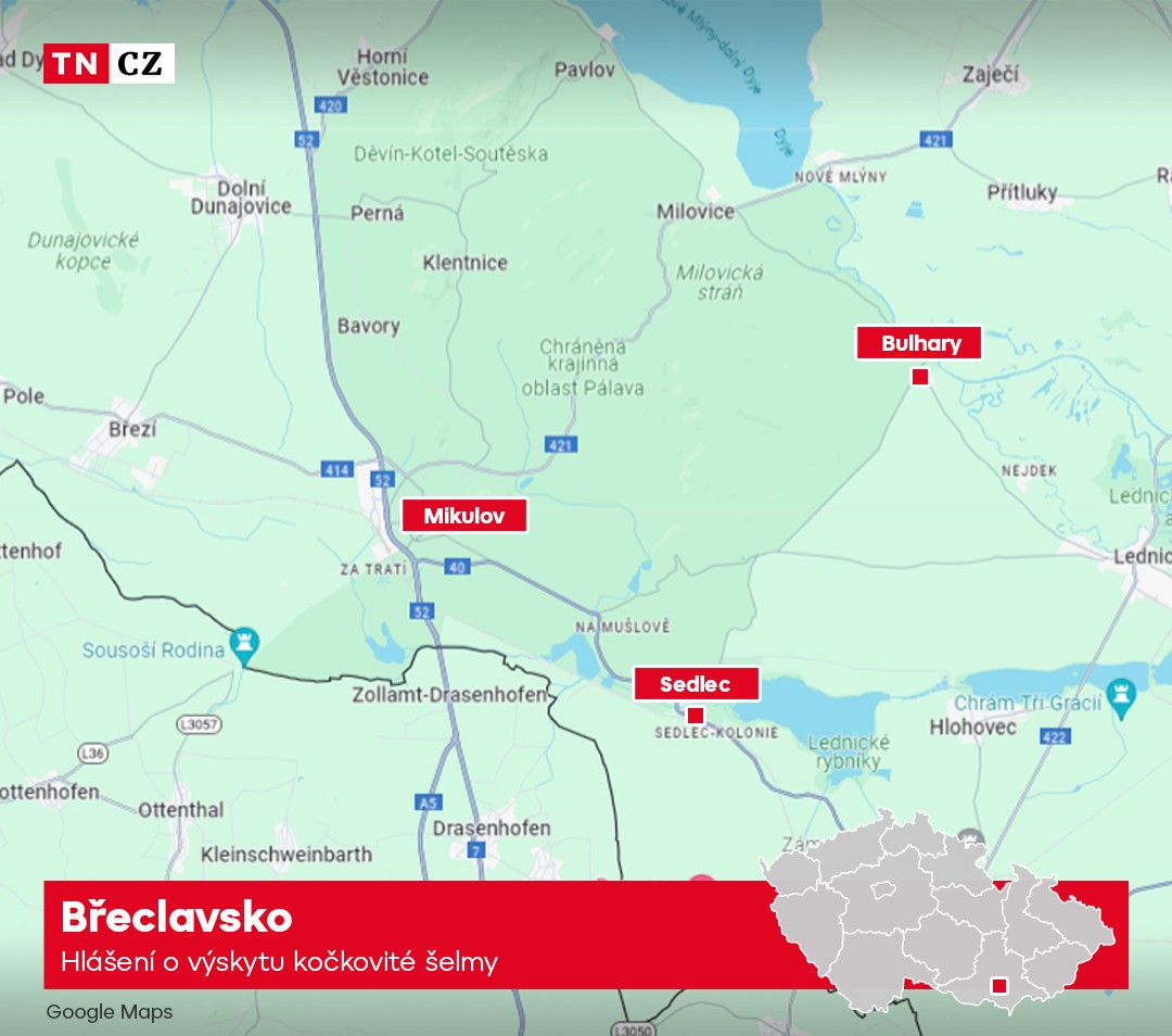 Hlášení o výskytu kočkovité šelmy na Břeclavsku