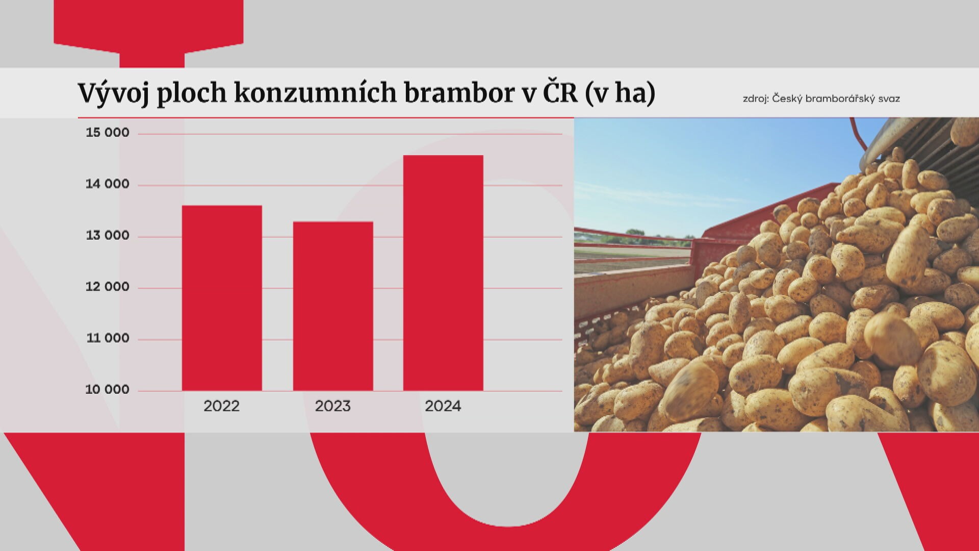 Brambory