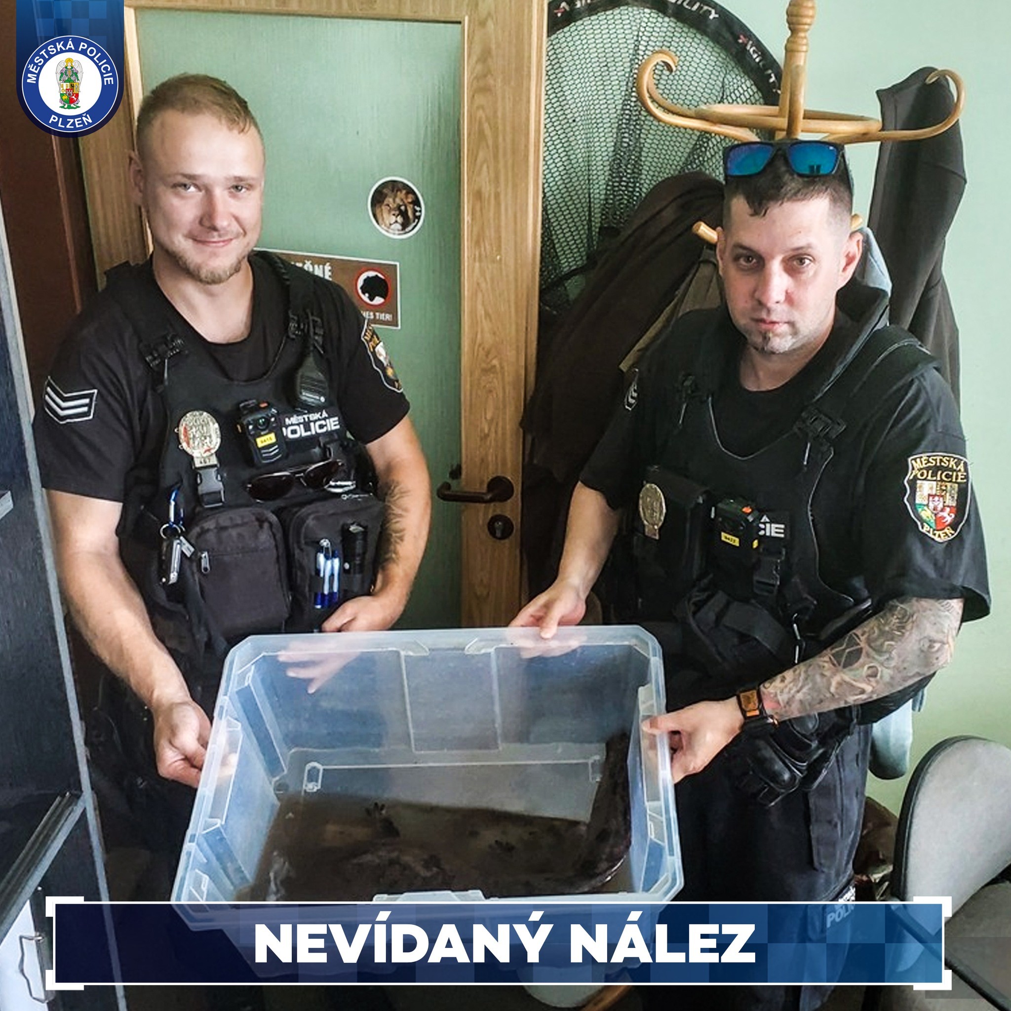 Strážníci našli ohrožený druh velemloka